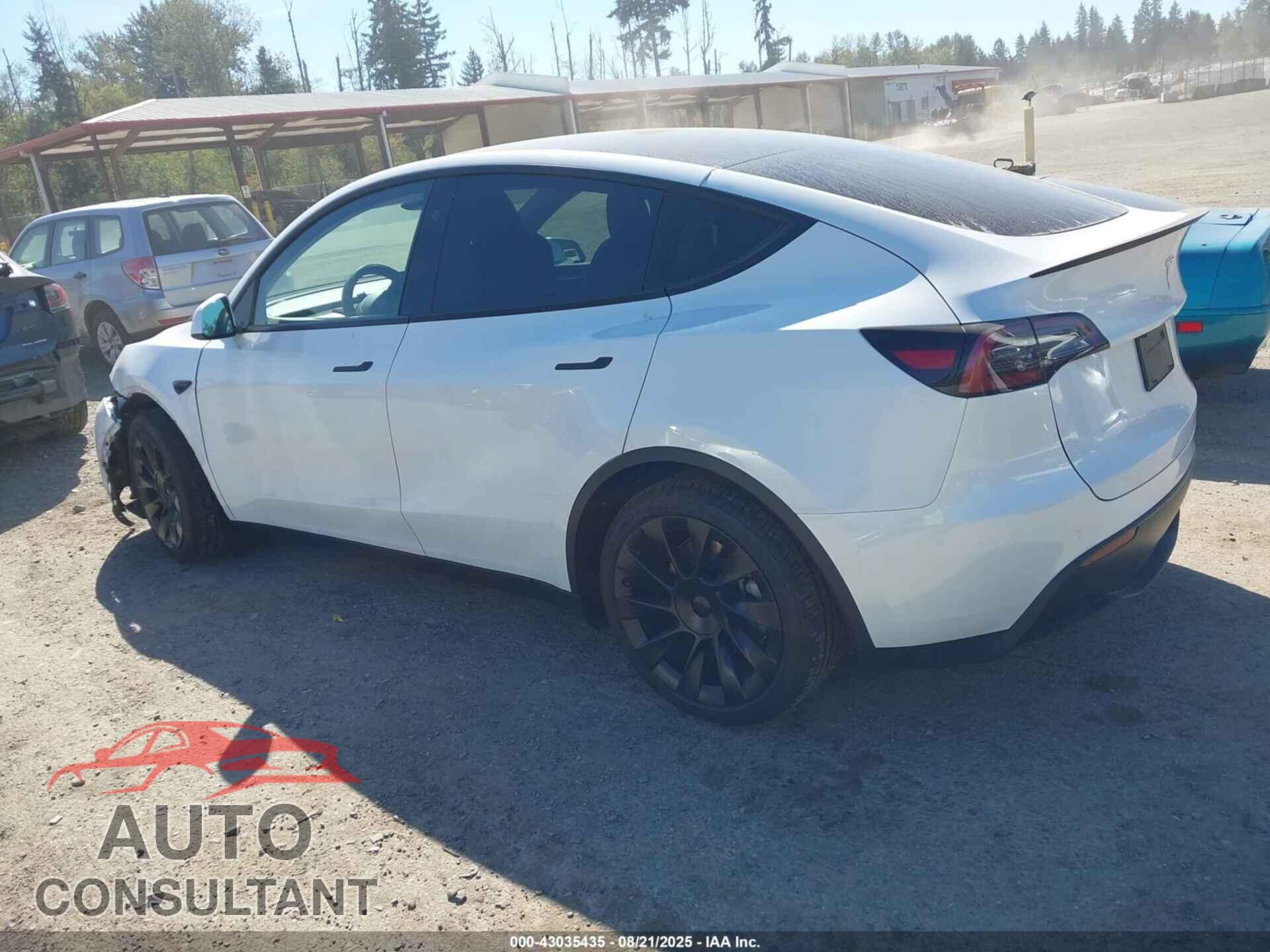 TESLA MODEL Y 2023 - 7SAYGDED7PF969892