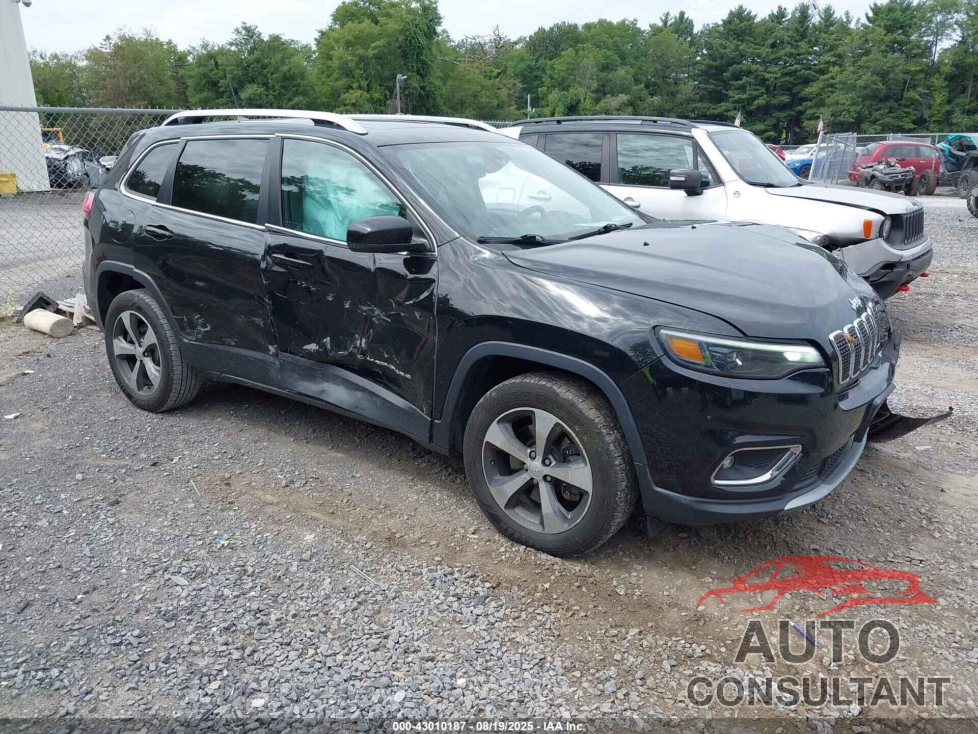 JEEP CHEROKEE 2019 - 1C4PJMDX7KD268422