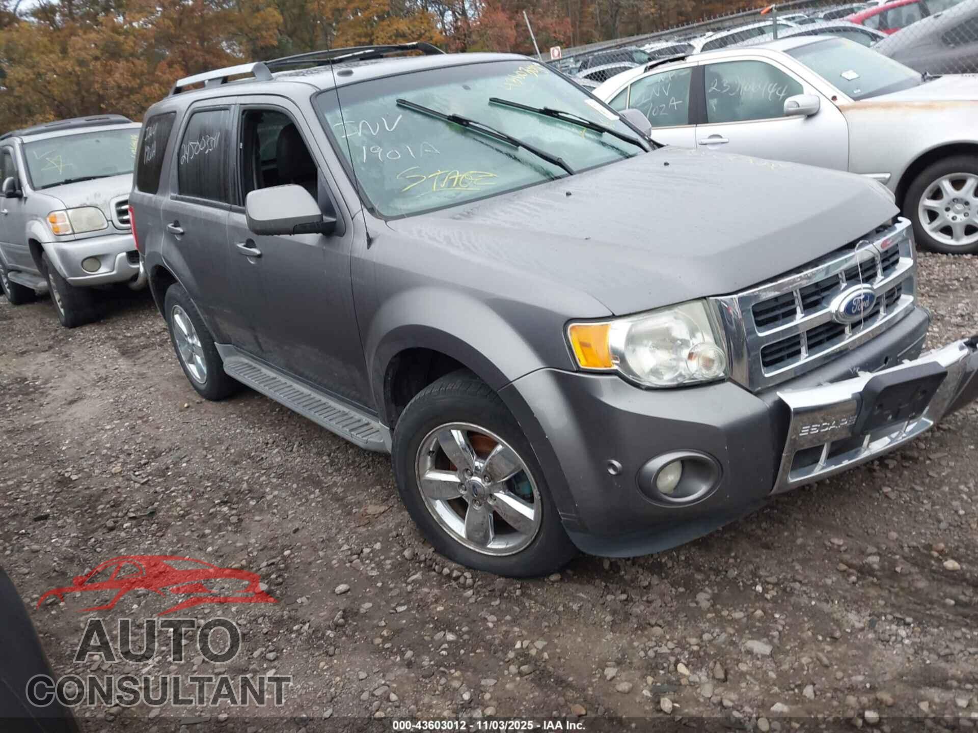 FORD ESCAPE 2011 - 1FMCU0EG6BKA47799