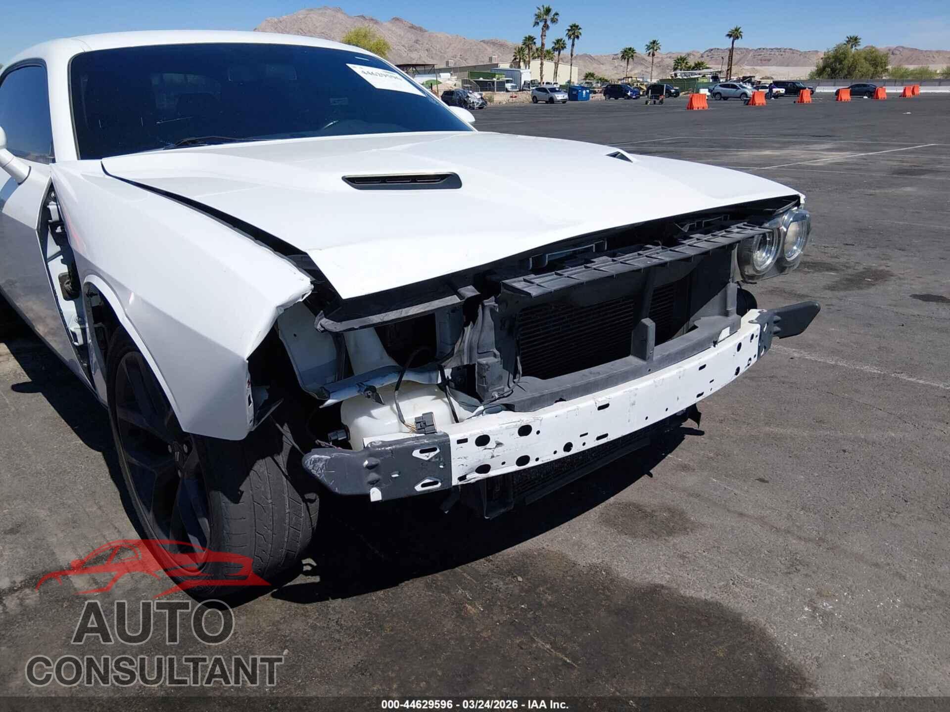 DODGE CHALLENGER 2019 - 2C3CDZAG4KH691571