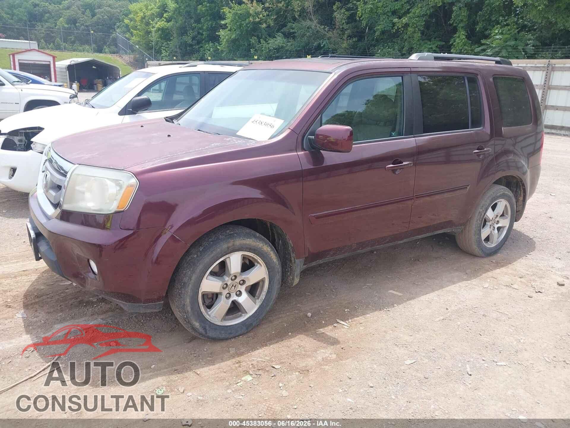 HONDA PILOT 2011 - 5FNYF4H52BB084237