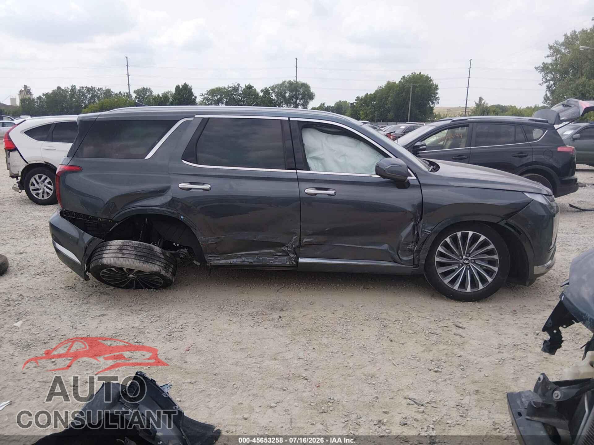 HYUNDAI PALISADE 2025 - KM8R7DGEXSU919829