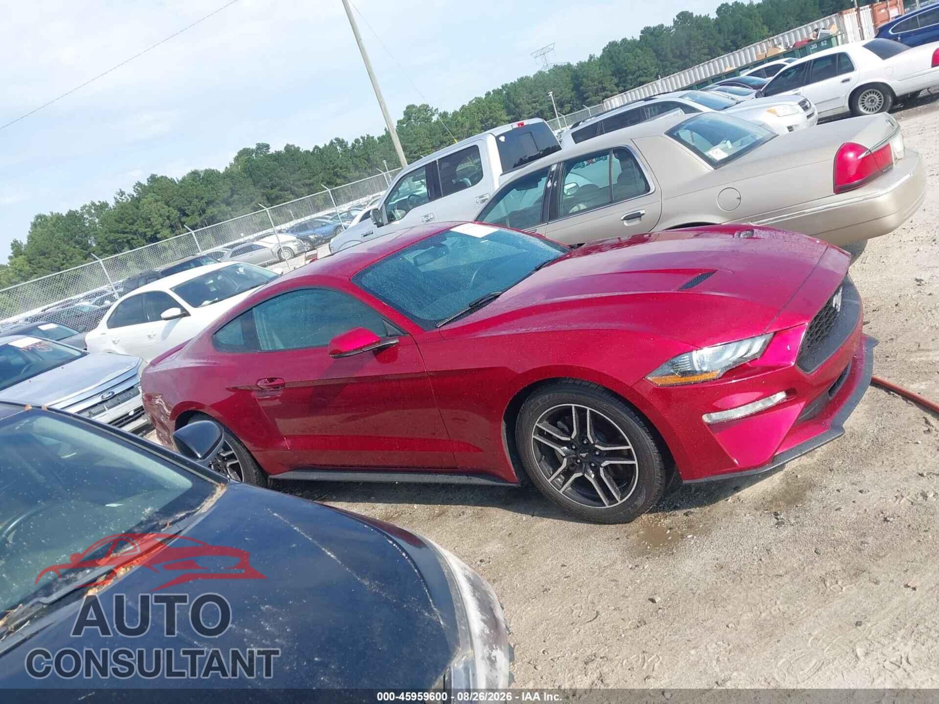 FORD MUSTANG 2019 - 1FA6P8TH2K5116477