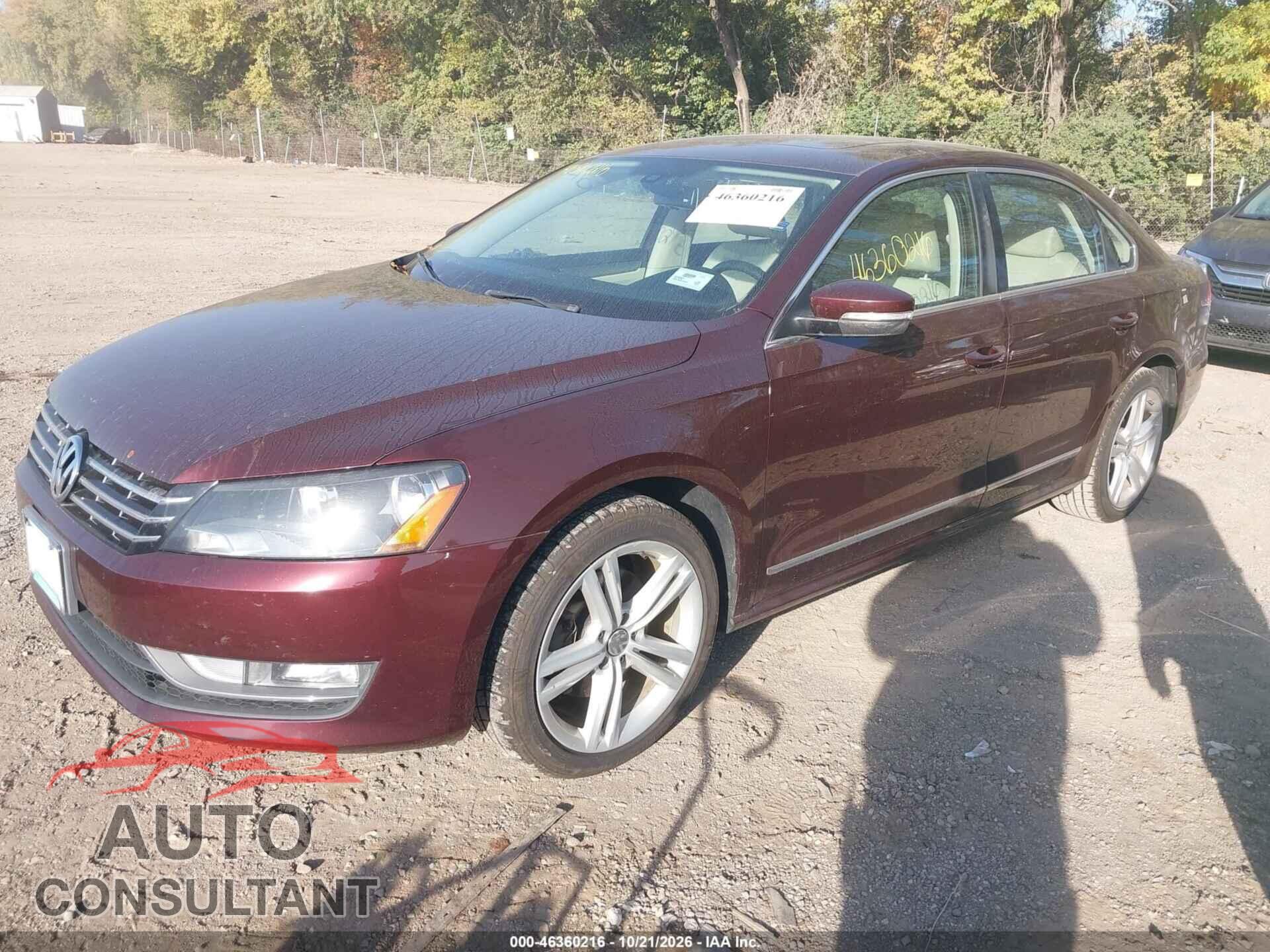 VOLKSWAGEN PASSAT 2014 - 1VWBN7A36EC007842