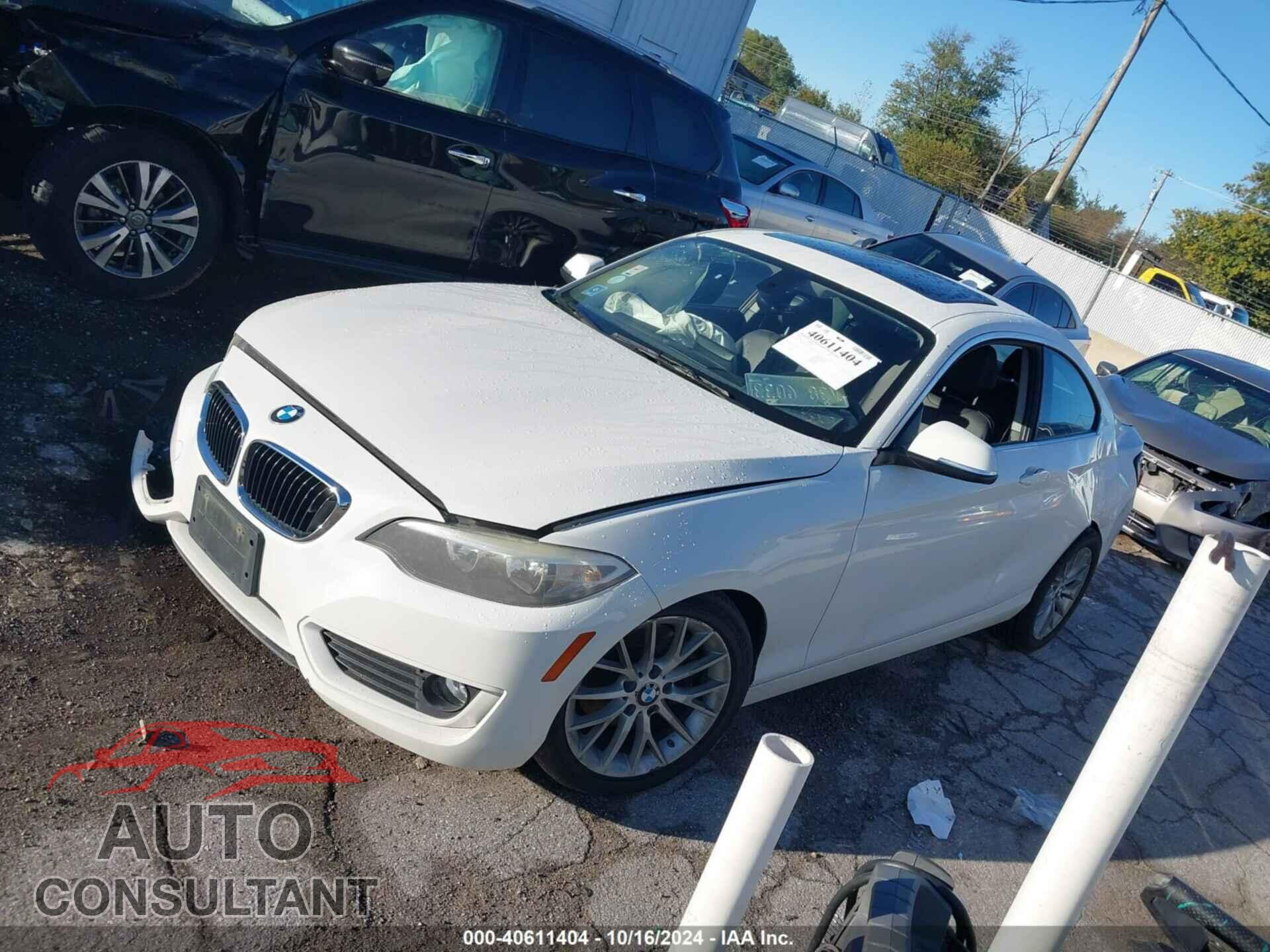 BMW 228I 2014 - WBA1F5C57EVV99221