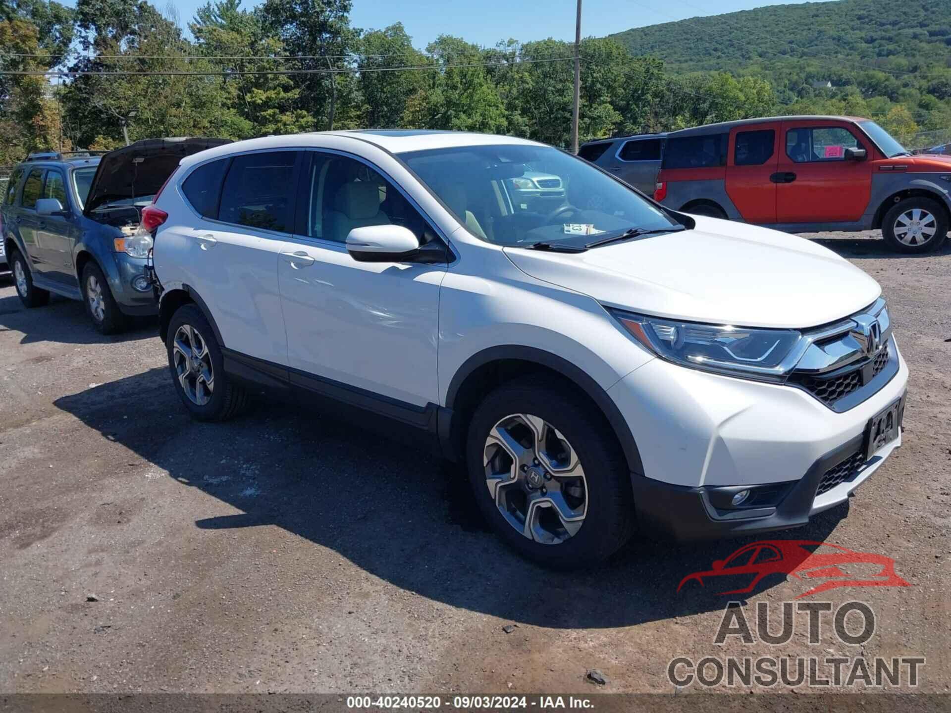 HONDA CR-V 2019 - 5J6RW2H5XKL037344