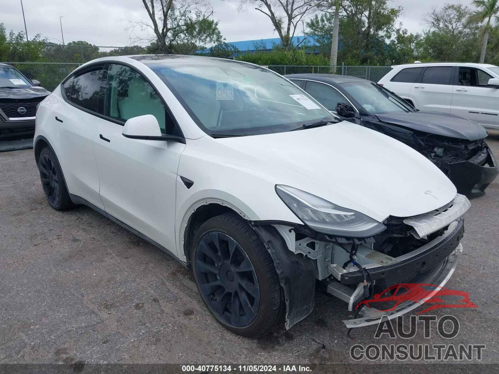 TESLA MODEL Y 2021 - 5YJYGDEE1MF243687