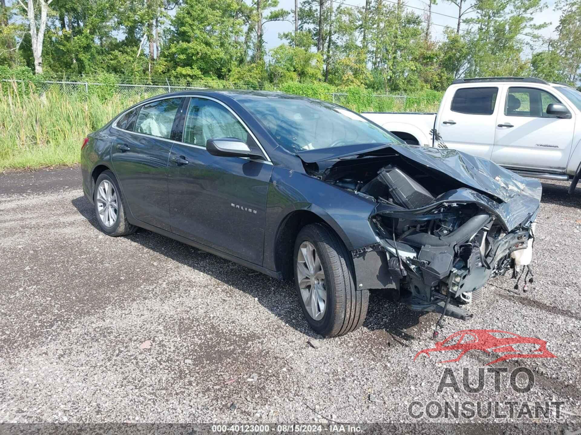 CHEVROLET MALIBU 2019 - 1G1ZD5ST4KF172394