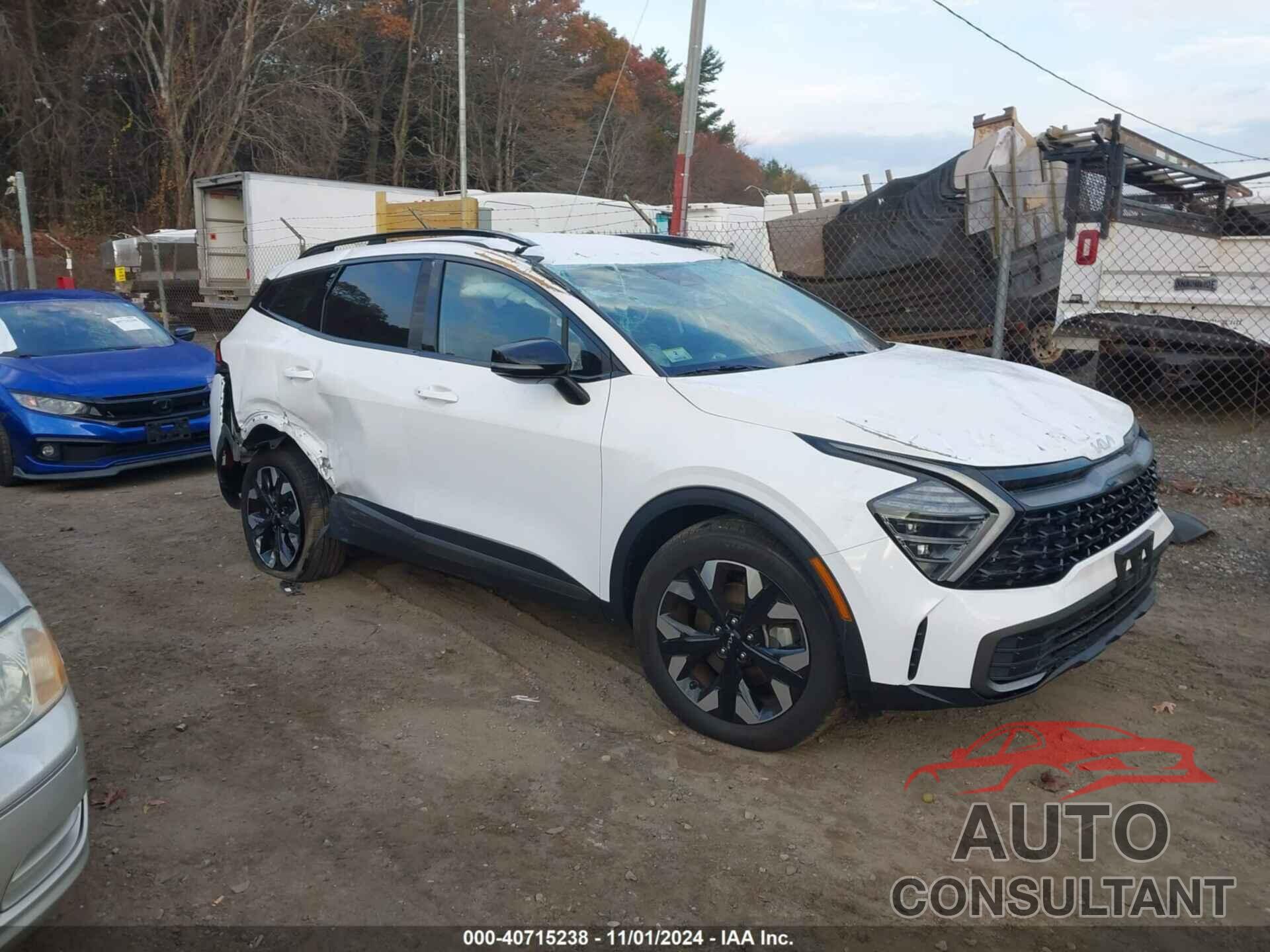KIA SPORTAGE 2024 - 5XYK6CDF4RG167900
