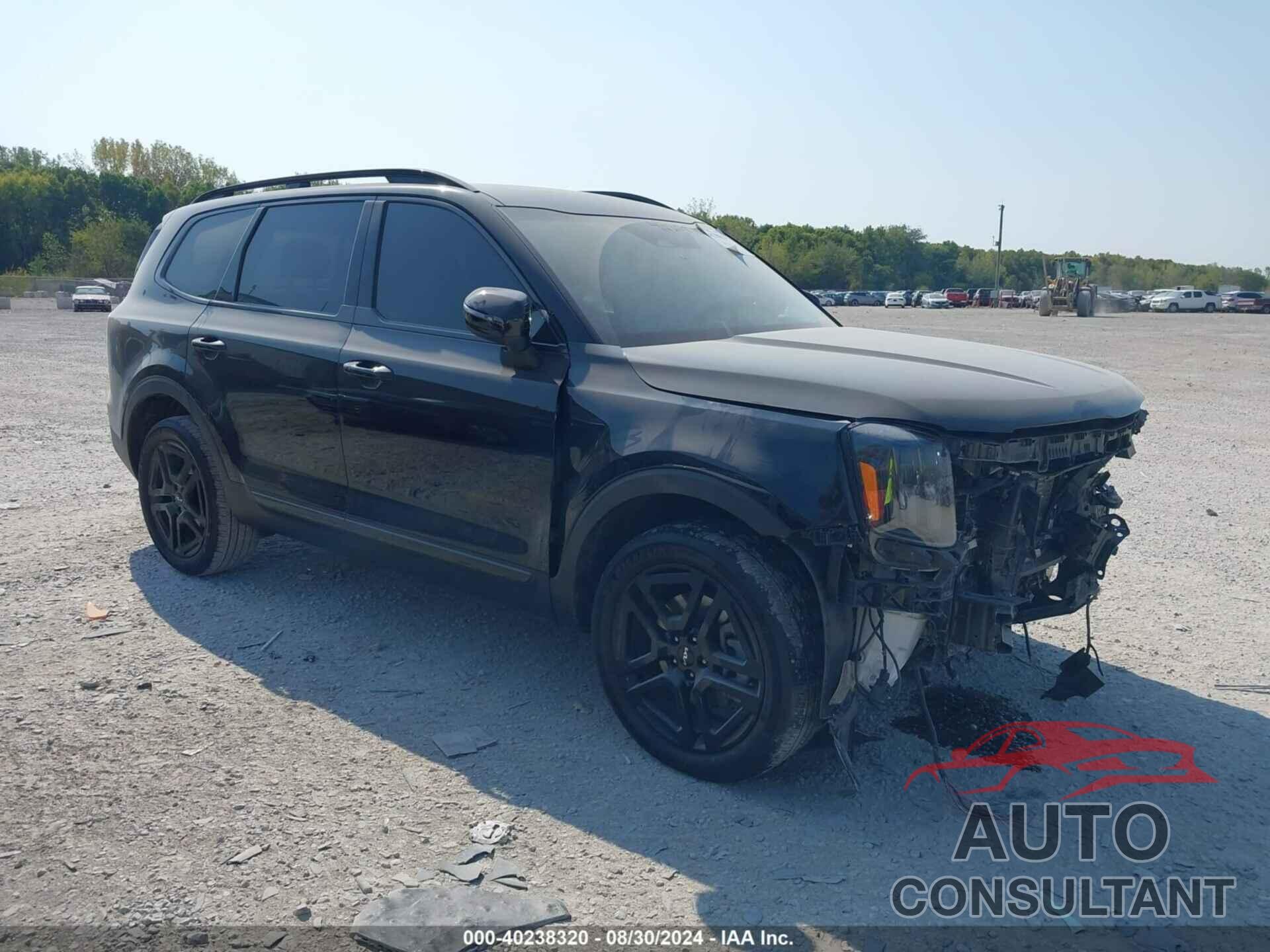 KIA TELLURIDE 2024 - 5XYP3DGC6RG451552