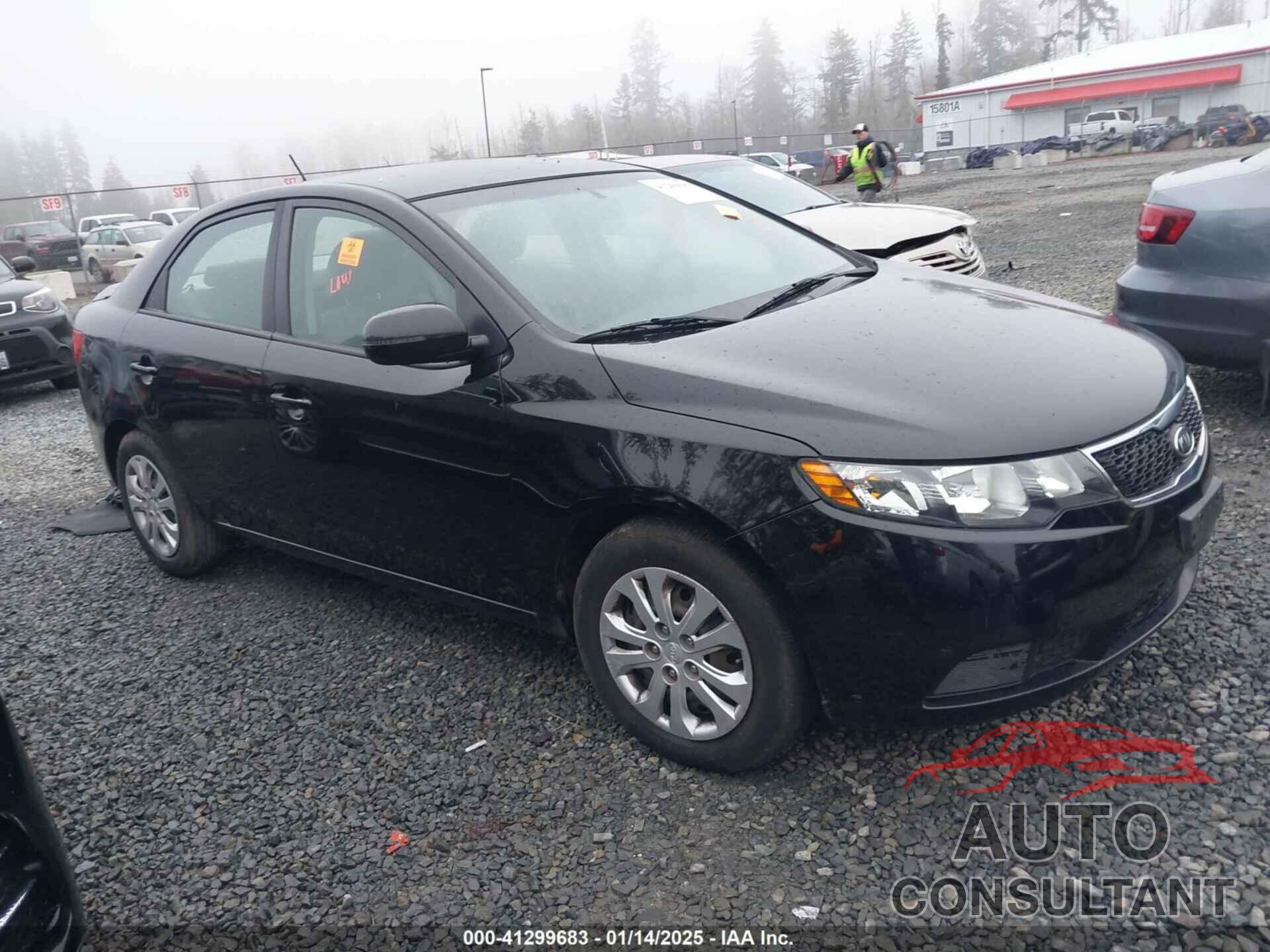 KIA FORTE 2012 - KNAFU4A29C5557032
