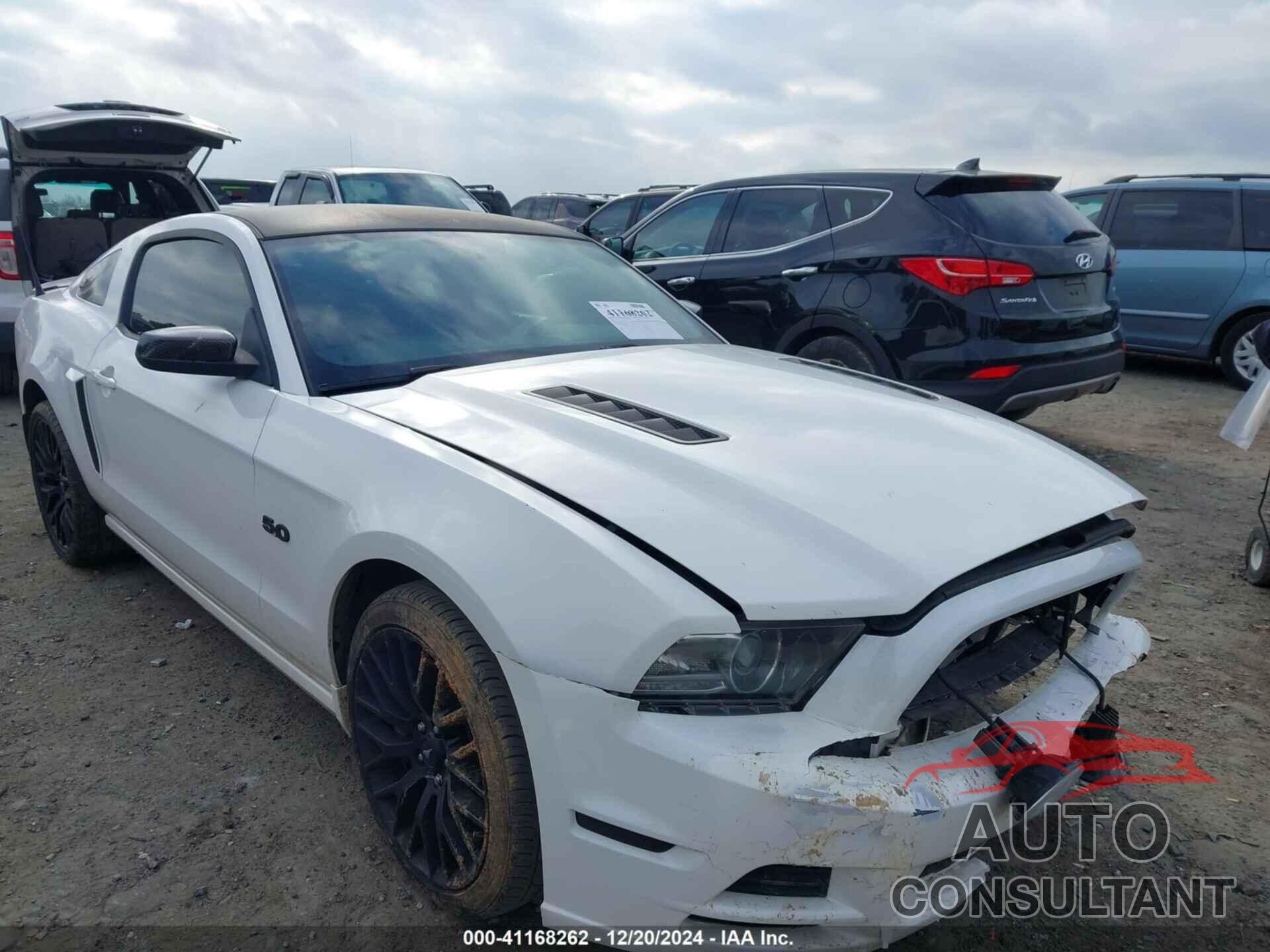 FORD MUSTANG 2013 - 1ZVBP8CF9D5230824