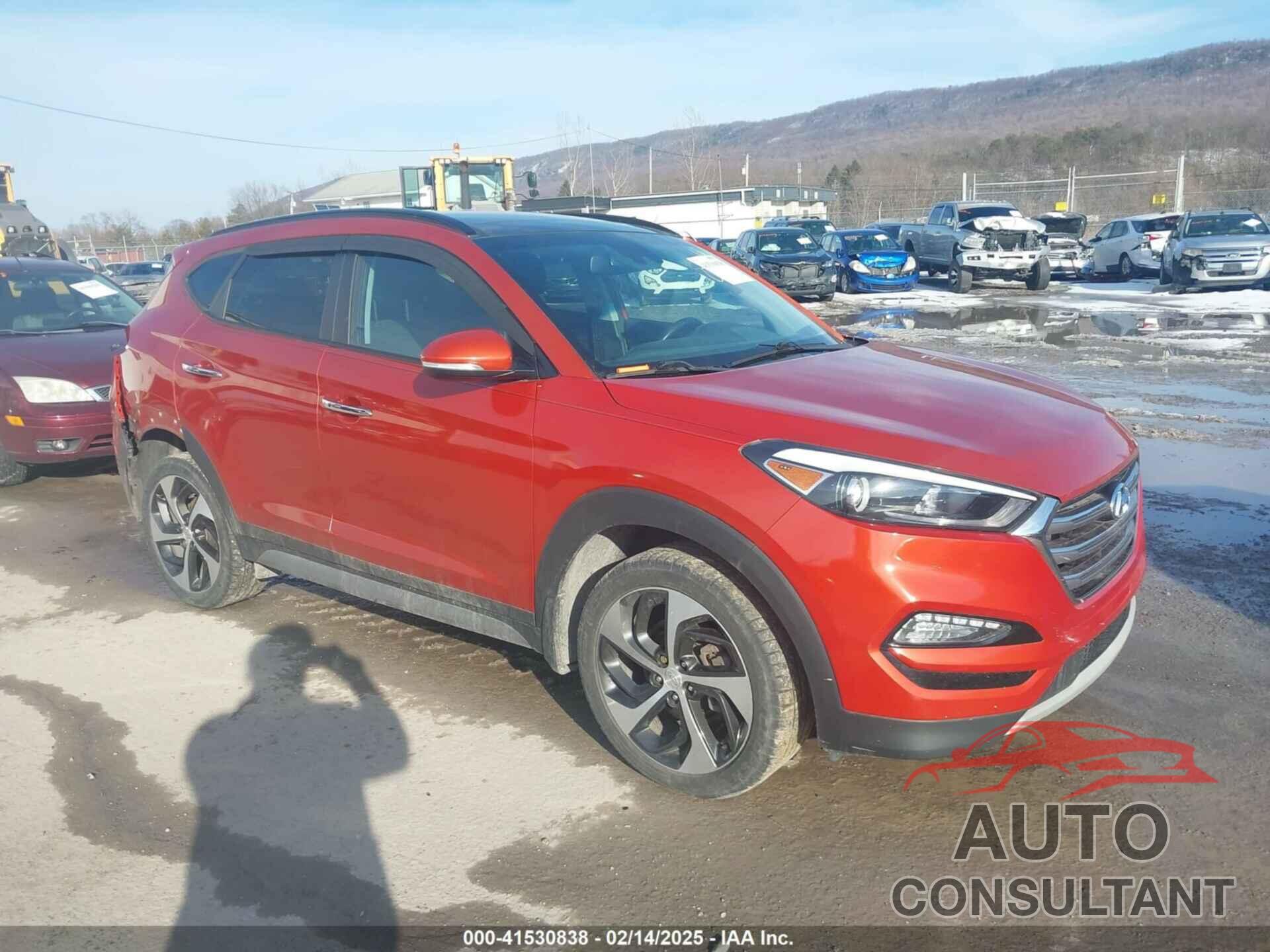 HYUNDAI TUCSON 2017 - KM8J3CA21HU369124