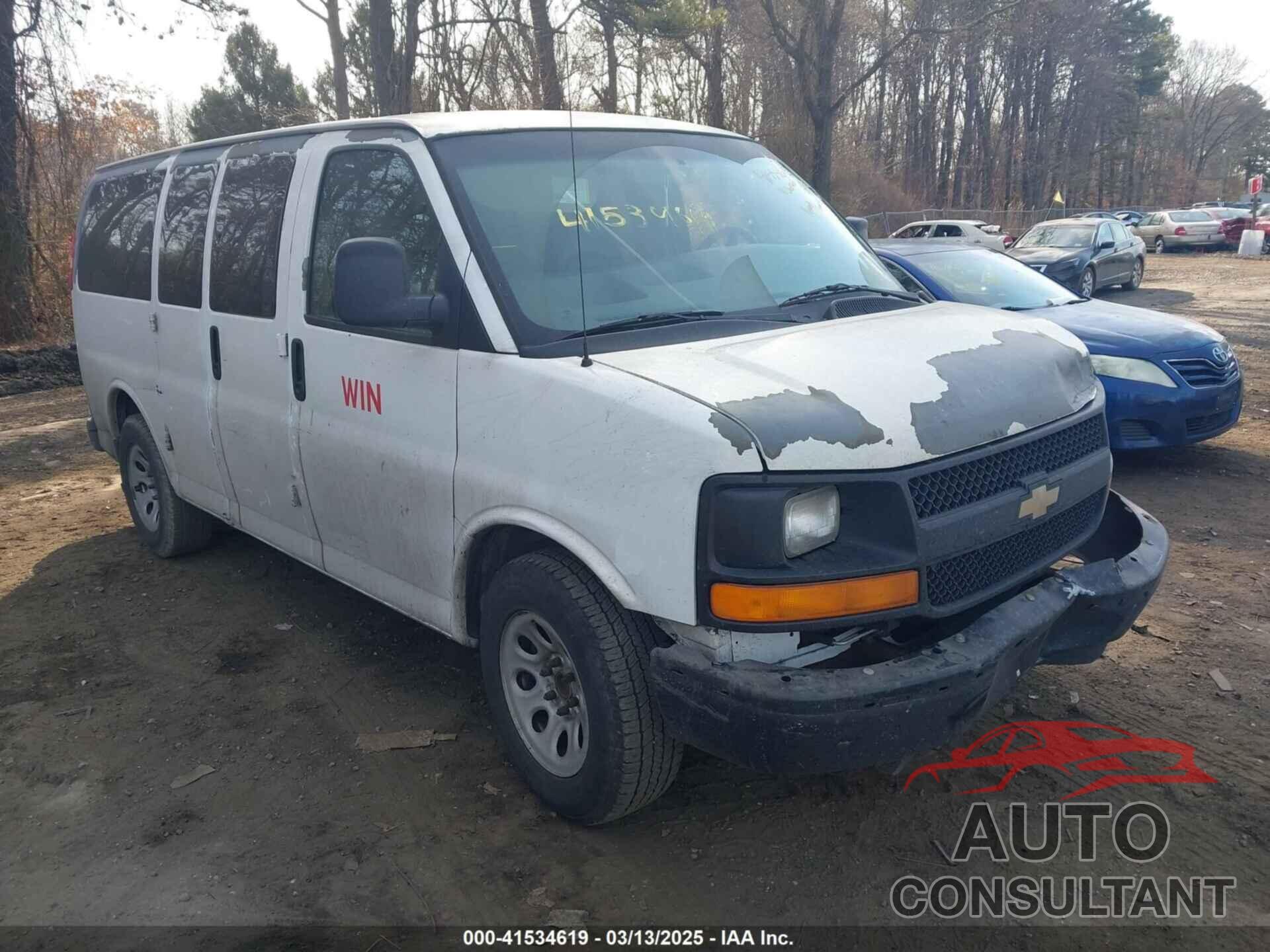 CHEVROLET EXPRESS 1500 2010 - 1GNUGBD4XA1170326