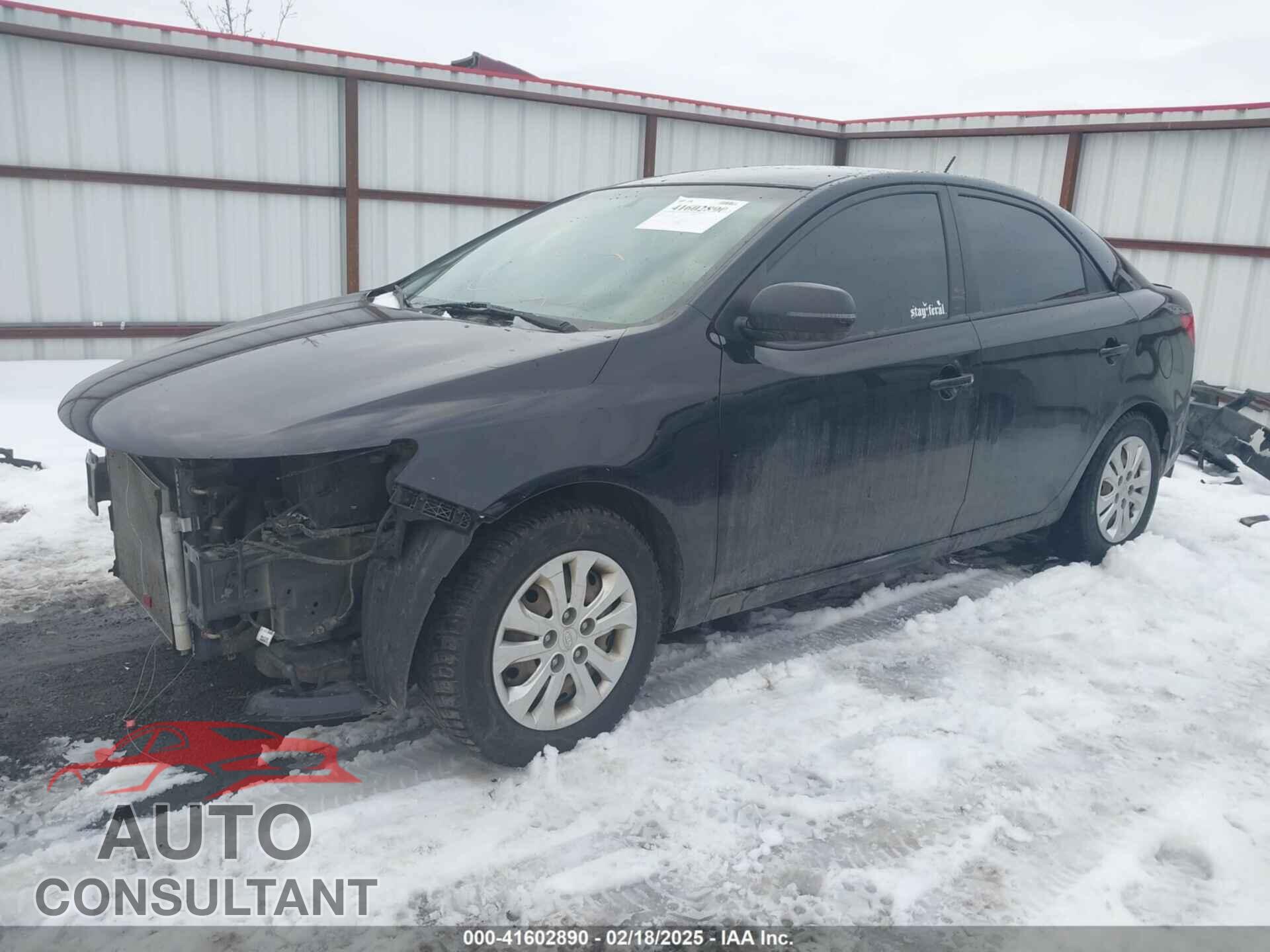 KIA FORTE 2012 - KNAFU4A28C5644355
