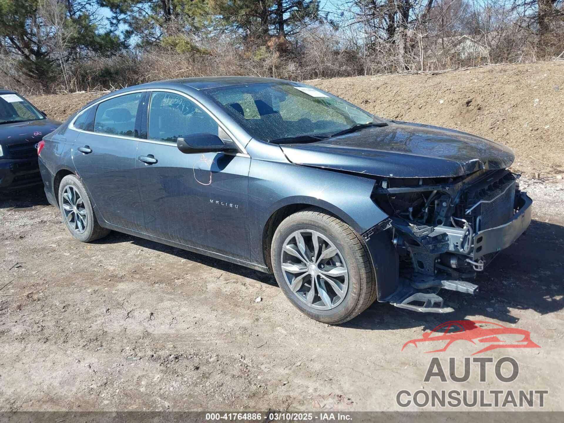 CHEVROLET MALIBU 2019 - 1G1ZD5ST0KF117490