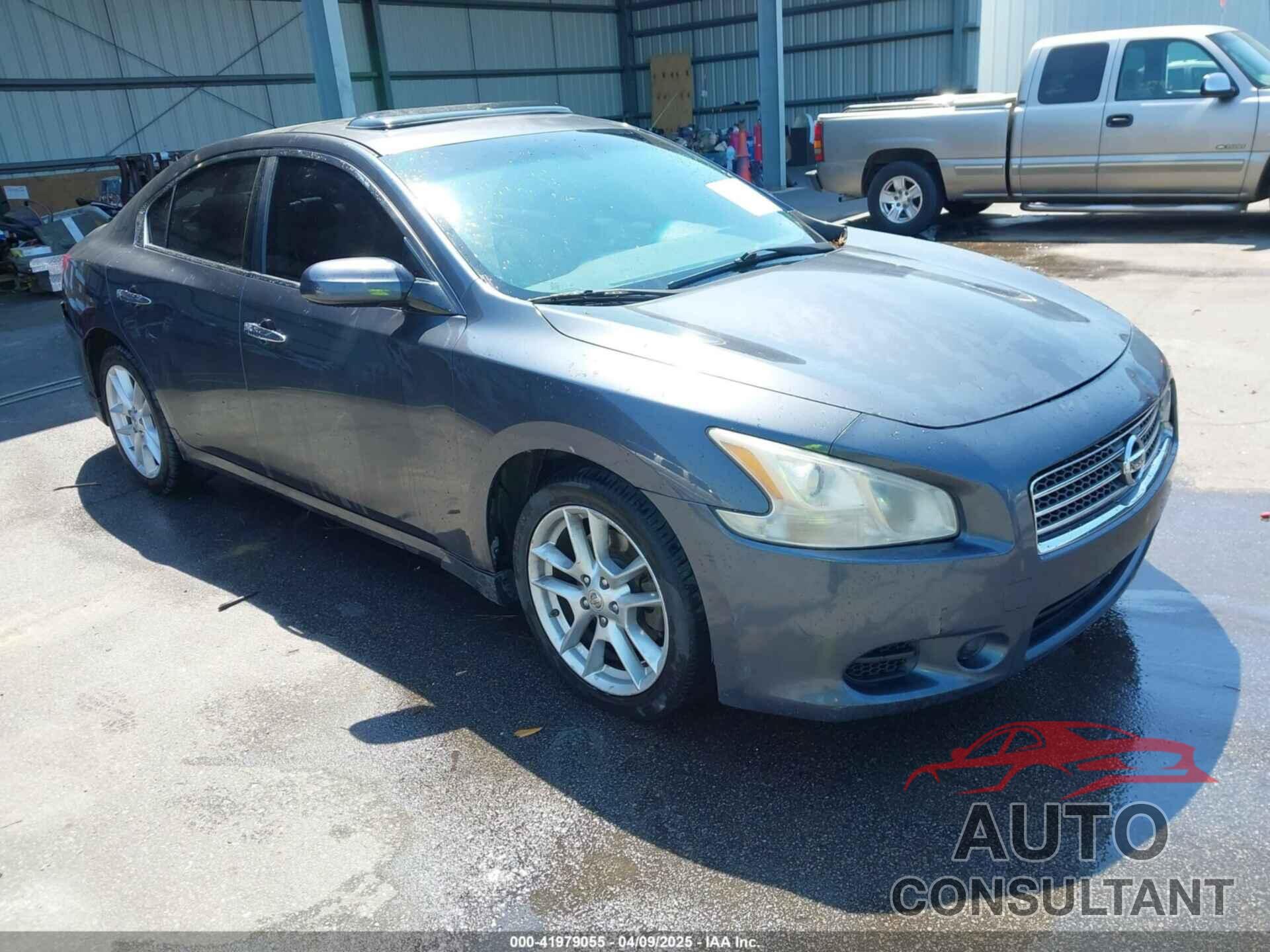 NISSAN MAXIMA 2009 - 1N4AA51E69C821422