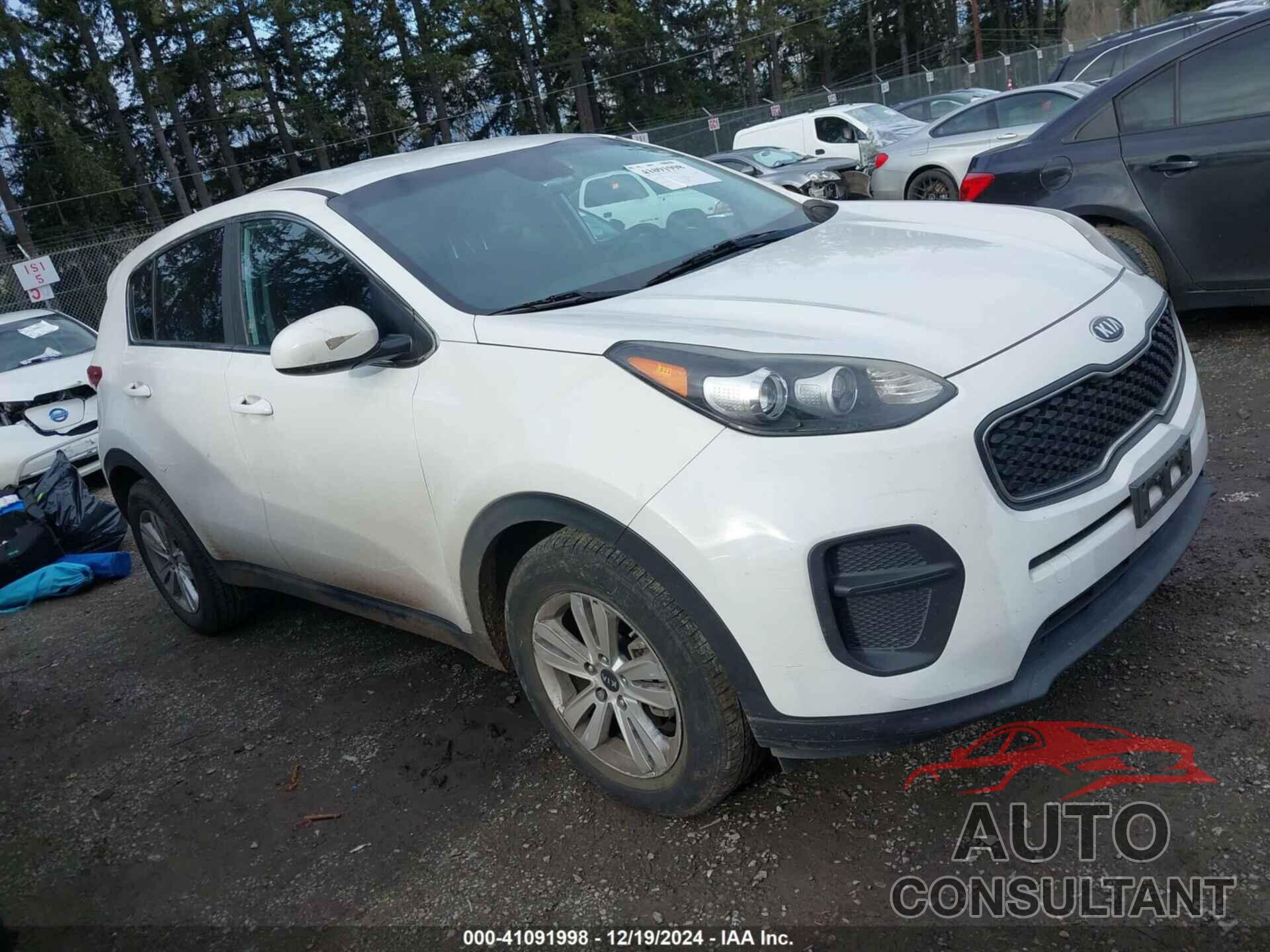 KIA SPORTAGE 2017 - KNDPM3AC8H7280962