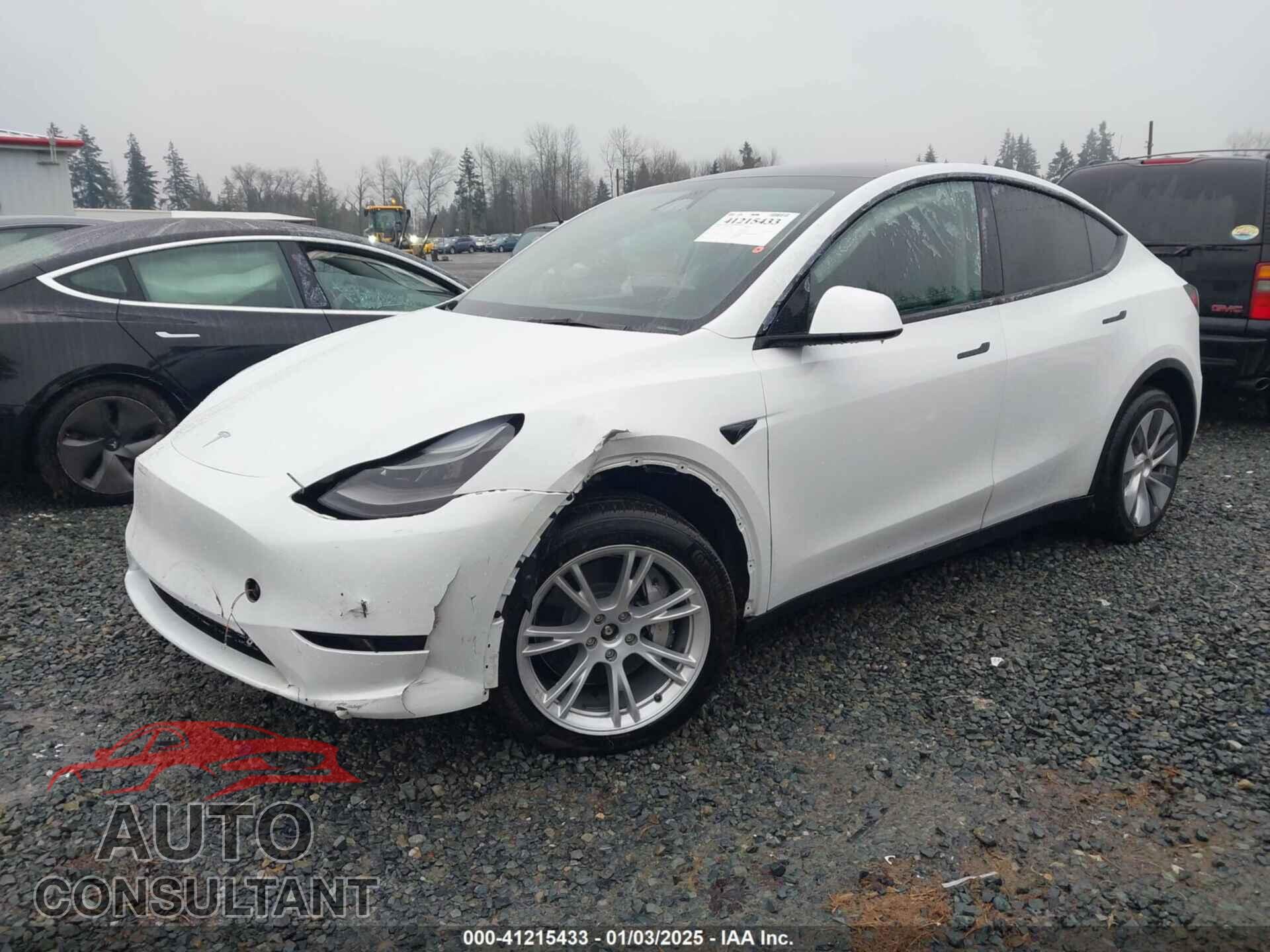 TESLA MODEL Y 2024 - 7SAYGDEEXRF078877