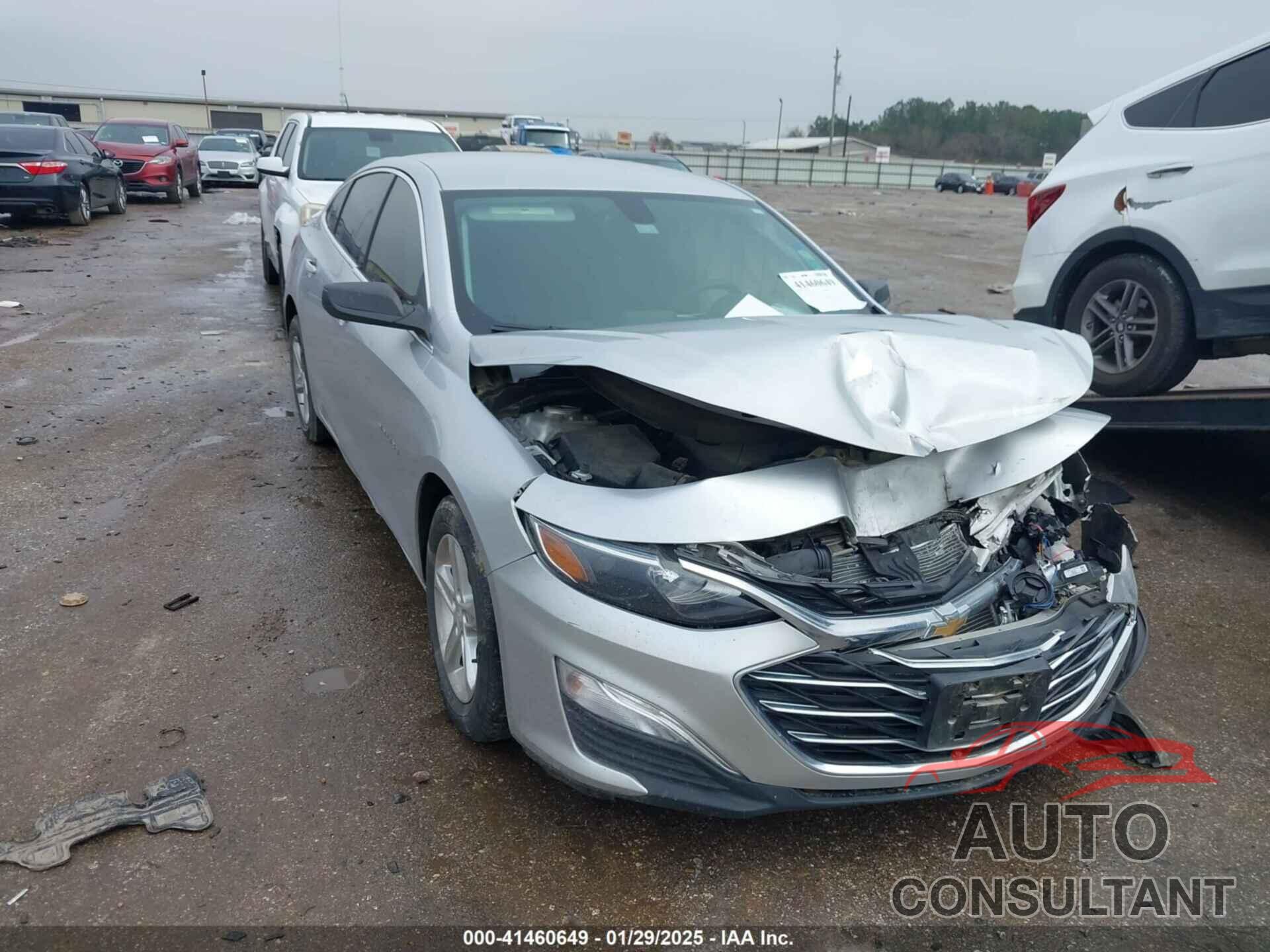 CHEVROLET MALIBU 2019 - 1G1ZB5ST8KF180066