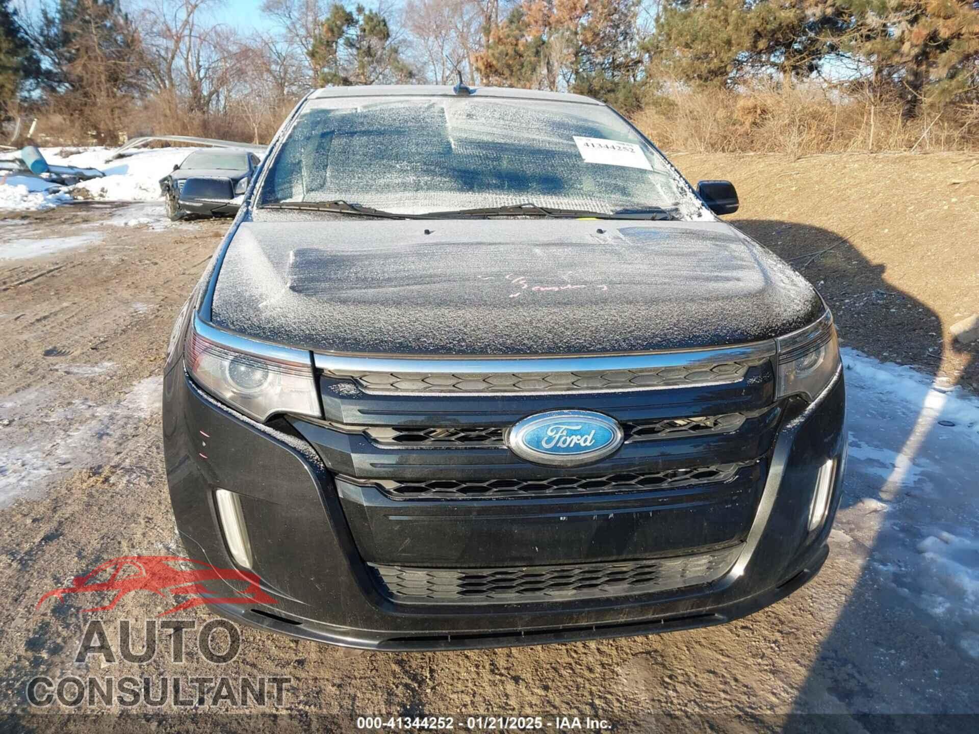FORD EDGE 2014 - 2FMDK4AK3EBA29397