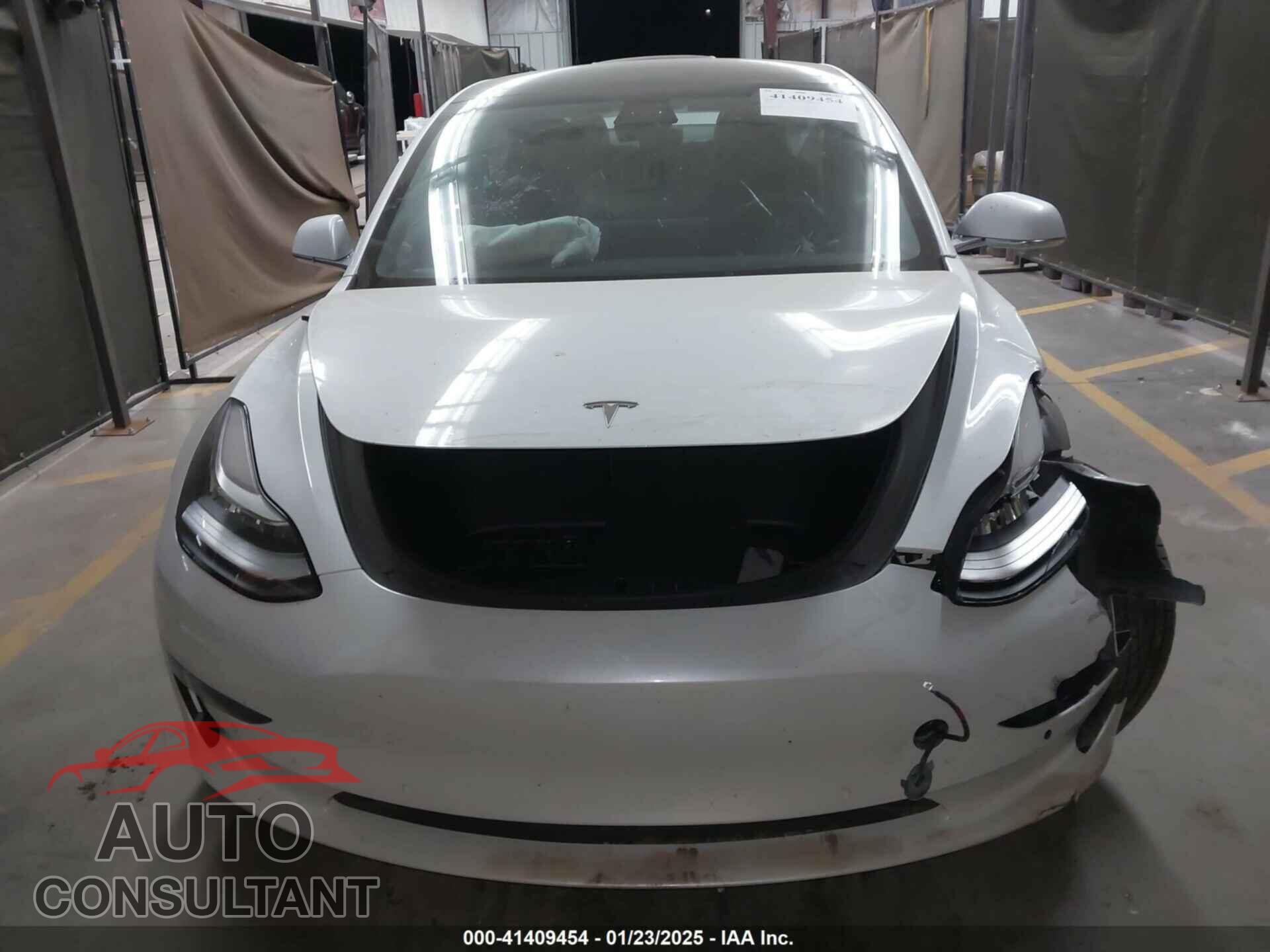 TESLA MODEL 3 2019 - 5YJ3E1EA2KF317529