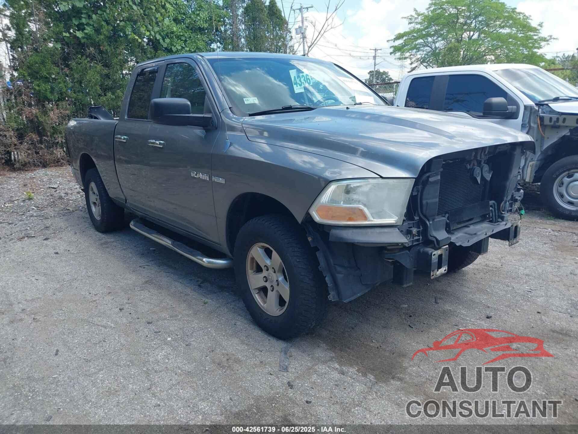 DODGE RAM 1500 2009 - 1D3HV18T59S801024