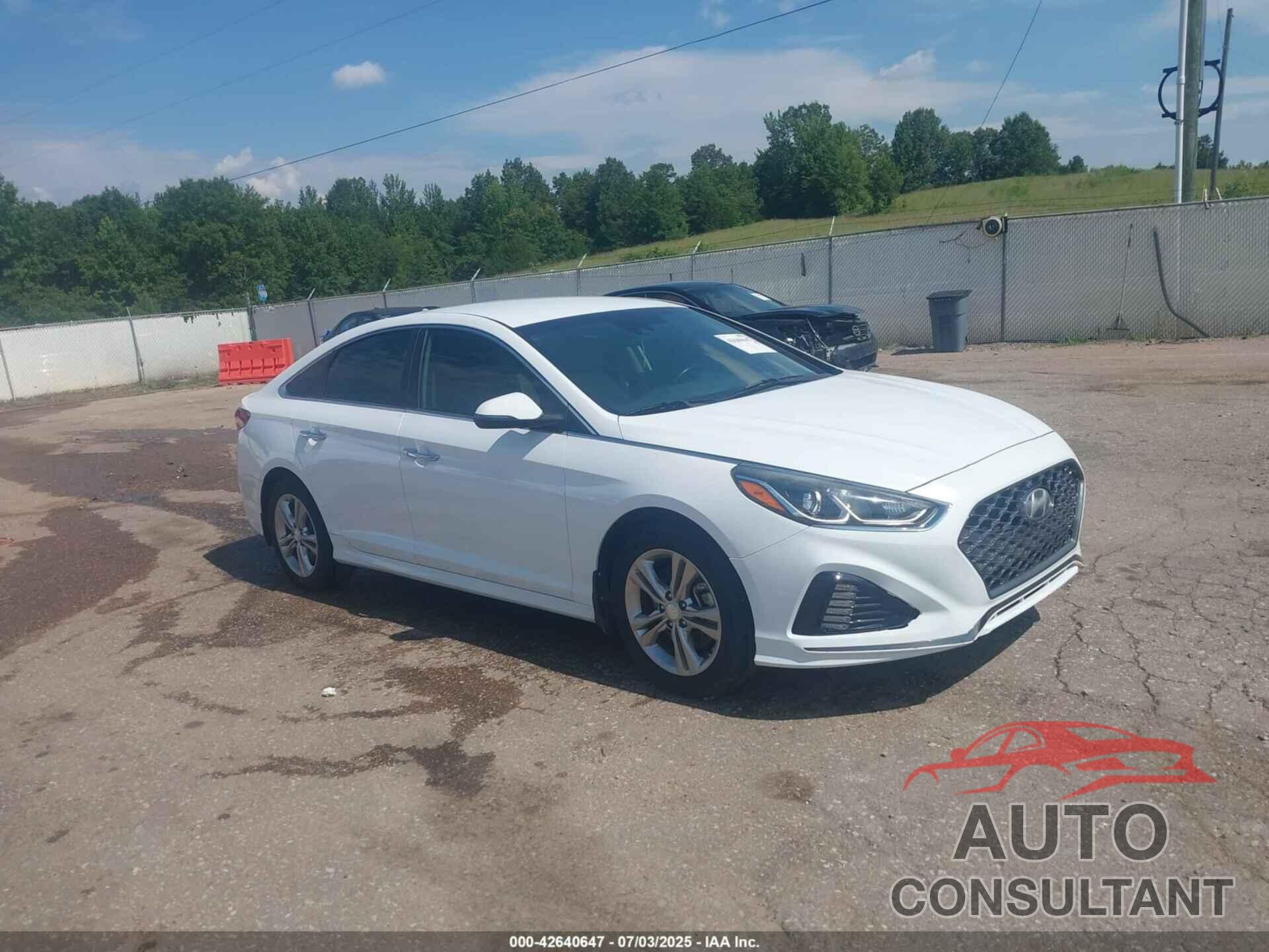 HYUNDAI SONATA 2019 - 5NPE34AF6KH796671