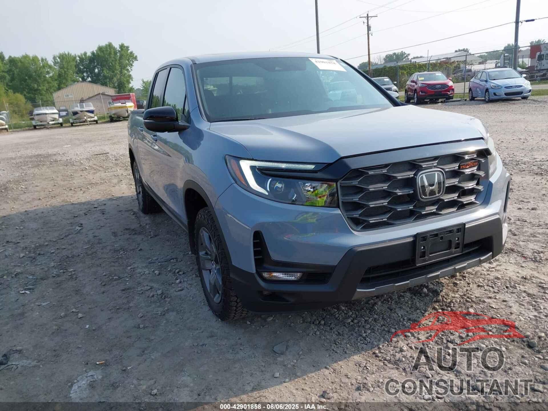 HONDA RIDGELINE 2024 - 5FPYK3F68RB025583
