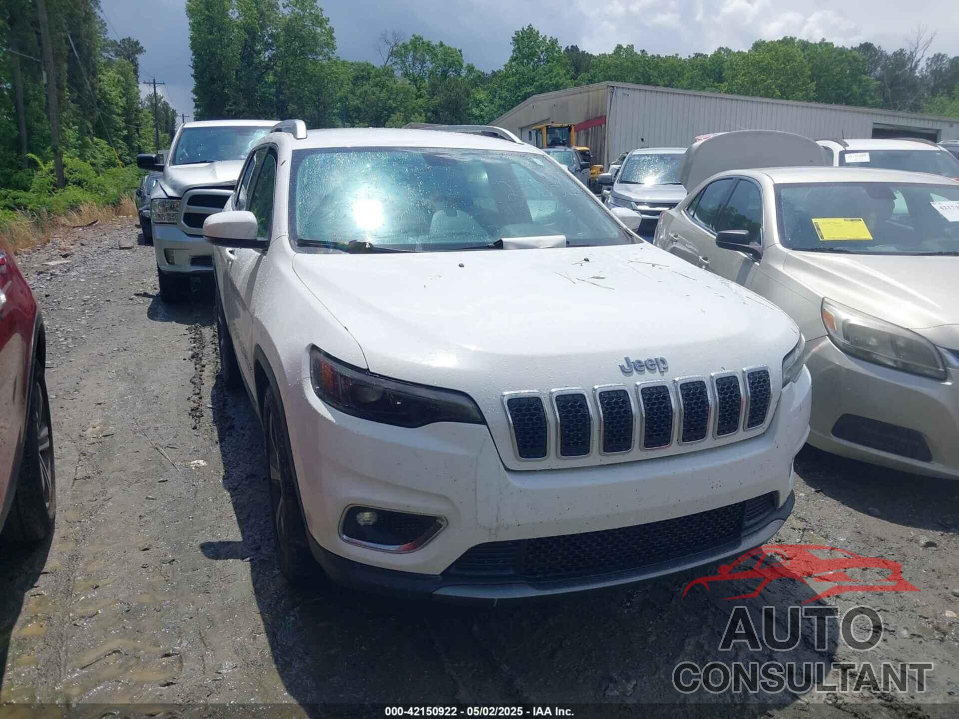 JEEP CHEROKEE 2019 - 1C4PJLDB0KD233056