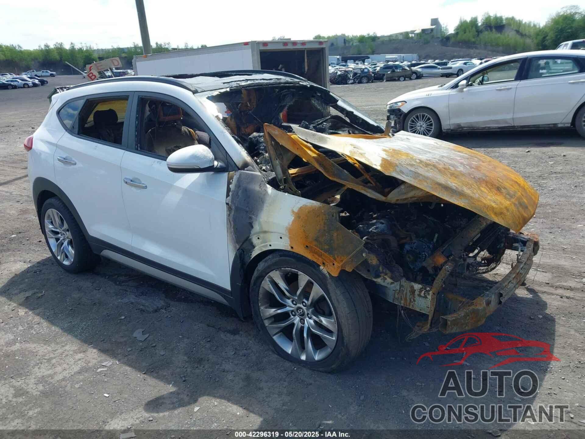 HYUNDAI TUCSON 2017 - KM8J3CA24HU301528