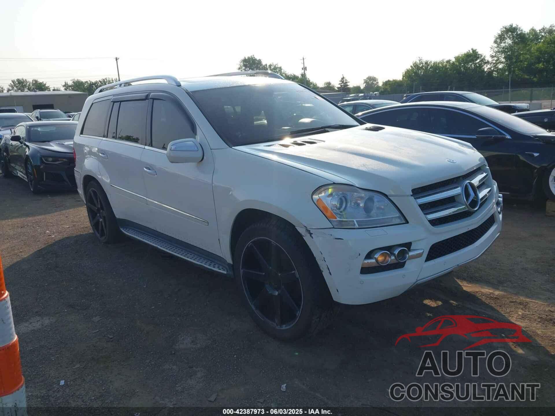 MERCEDES-BENZ GL 450 2010 - 4JGBF7BE4AA611195