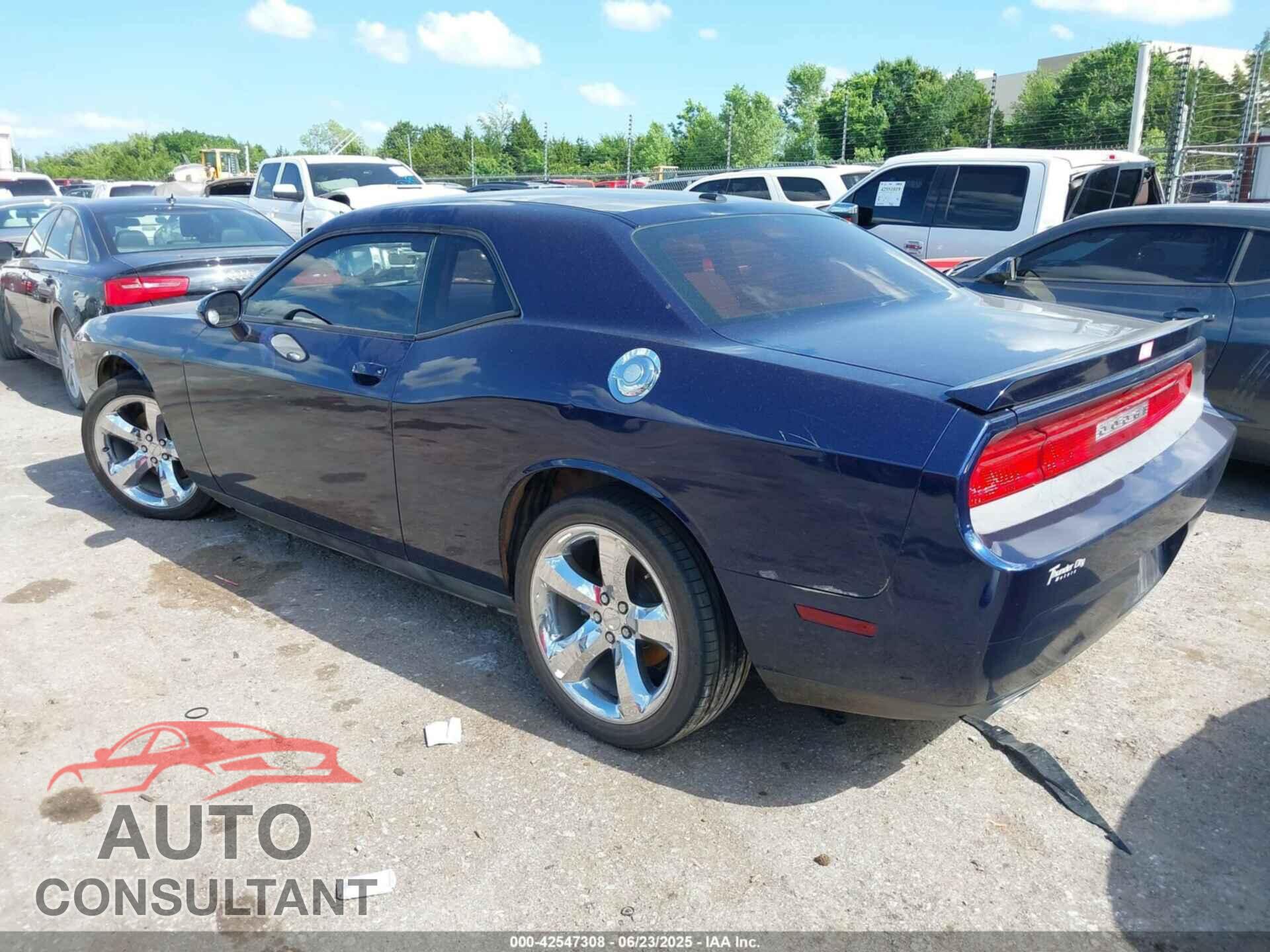 DODGE CHALLENGER 2013 - 2C3CDYAG8DH695247