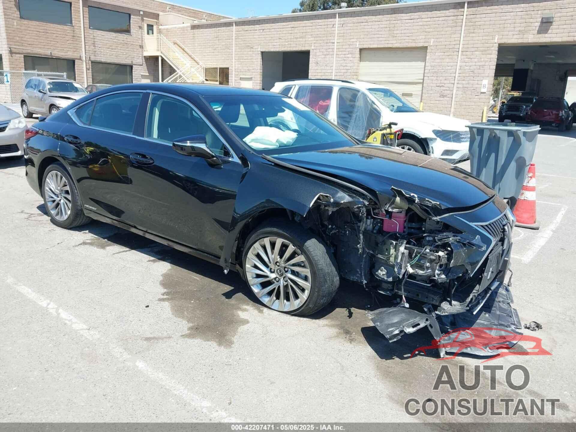 LEXUS ES 300H 2021 - 58AEA1C11MU012609