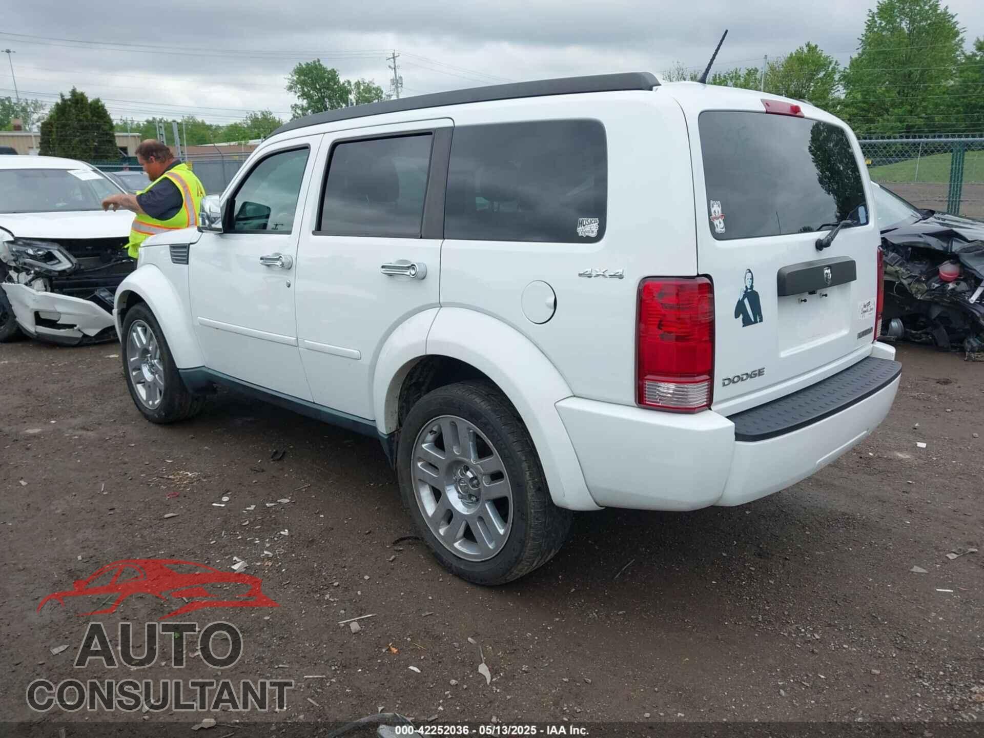 DODGE NITRO 2011 - 1D4PU4GK7BW598432