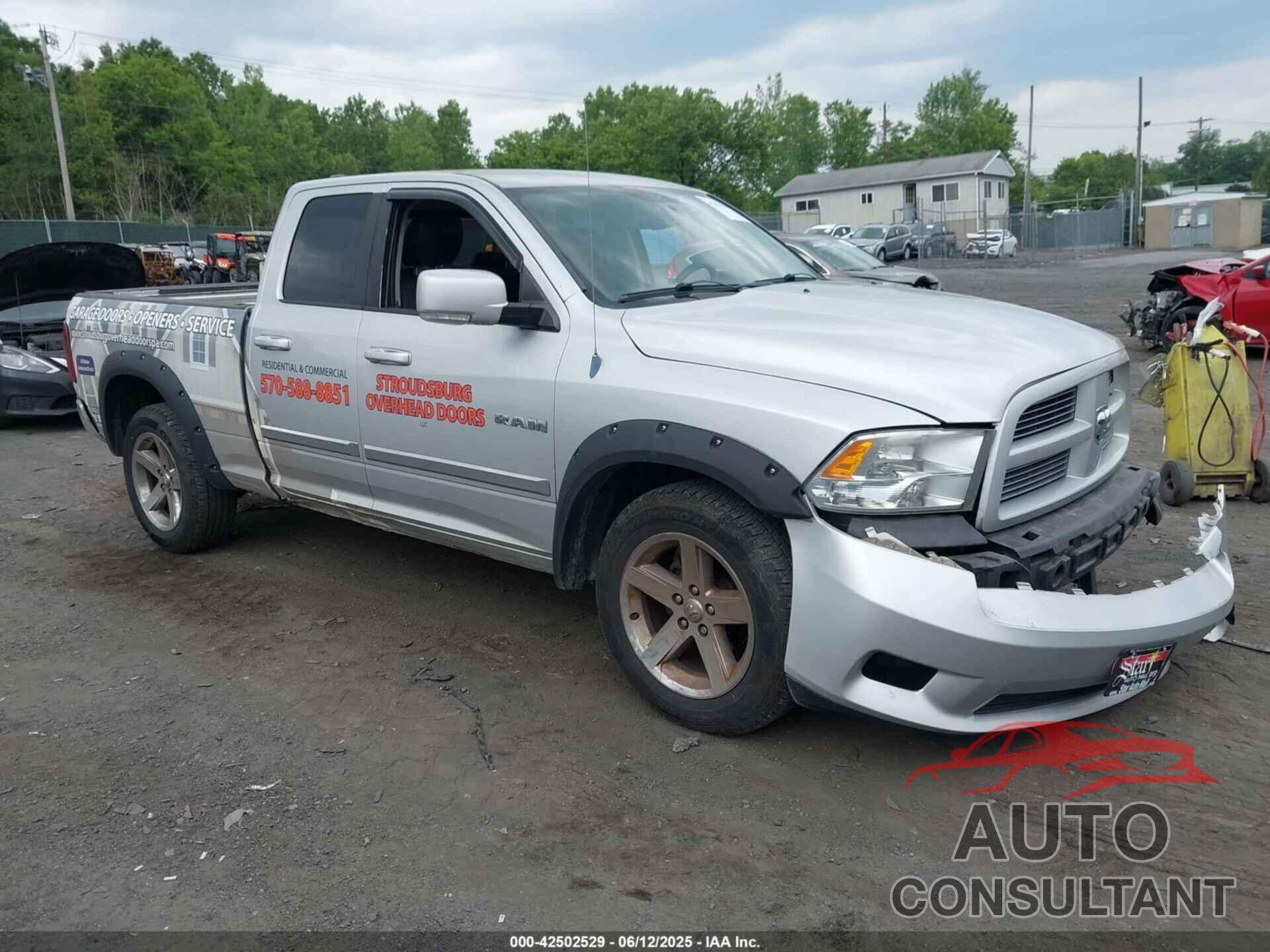 DODGE RAM 1500 2010 - 1D7RV1GT4AS239058