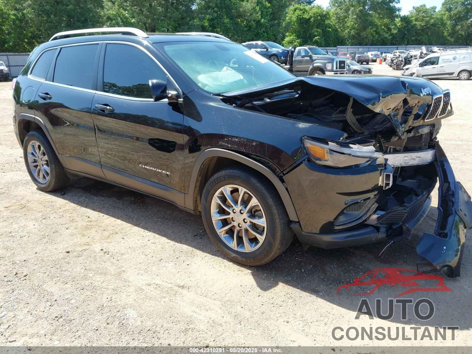 JEEP CHEROKEE 2019 - 1C4PJLLB9KD383796