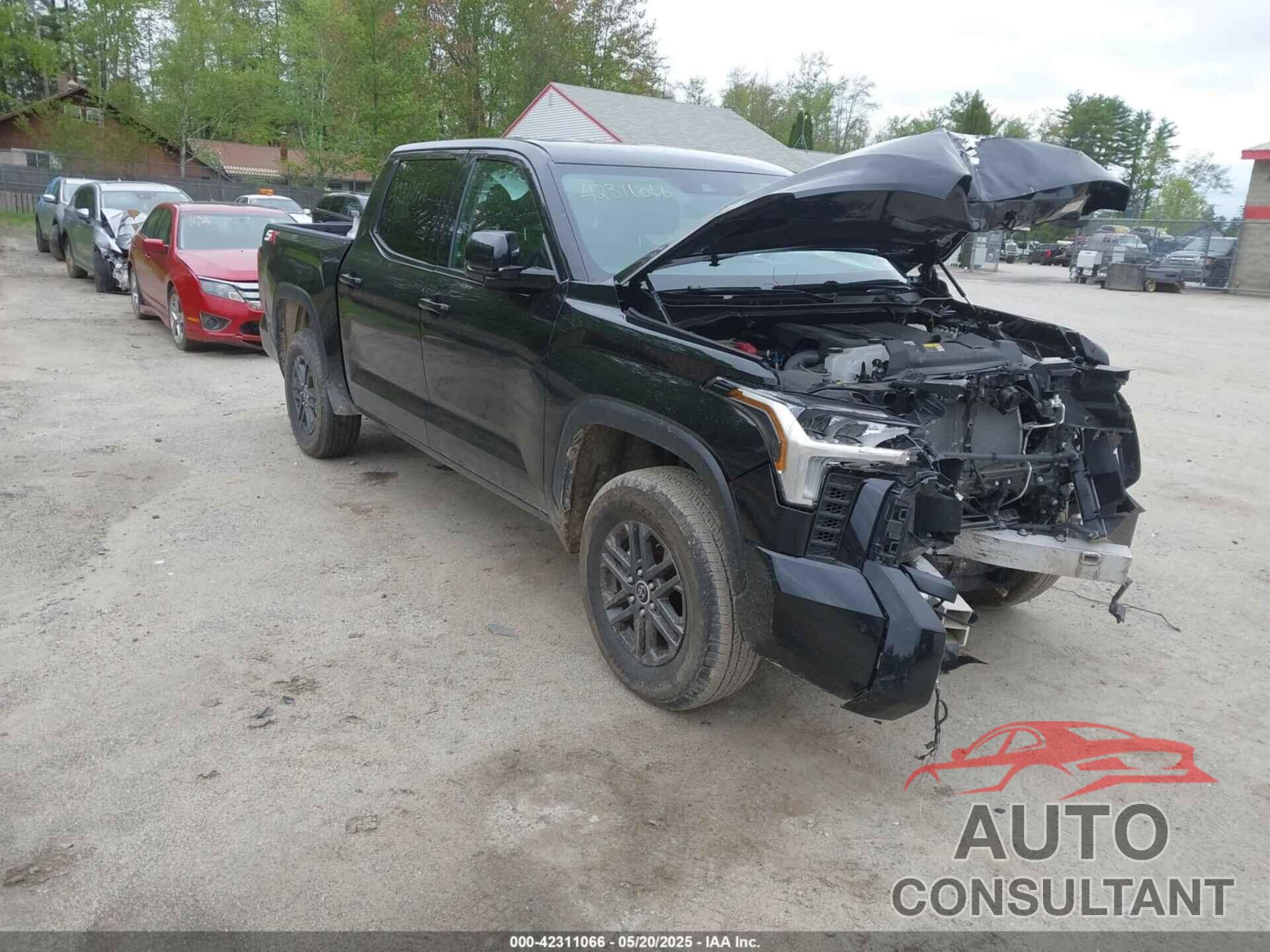 TOYOTA TUNDRA 2024 - 5TFLA5DB4RX212570