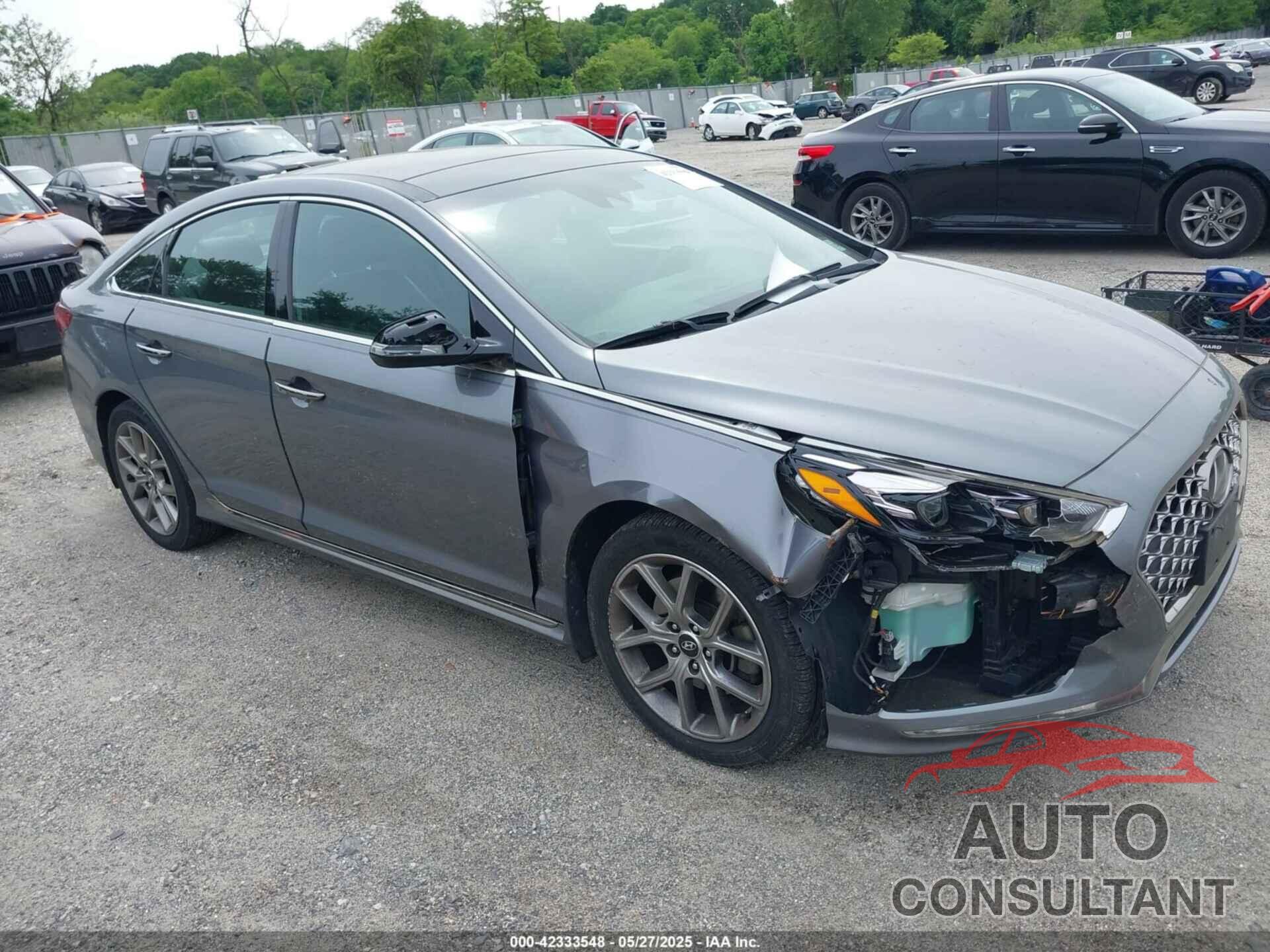 HYUNDAI SONATA 2019 - 5NPE34AB4KH729225