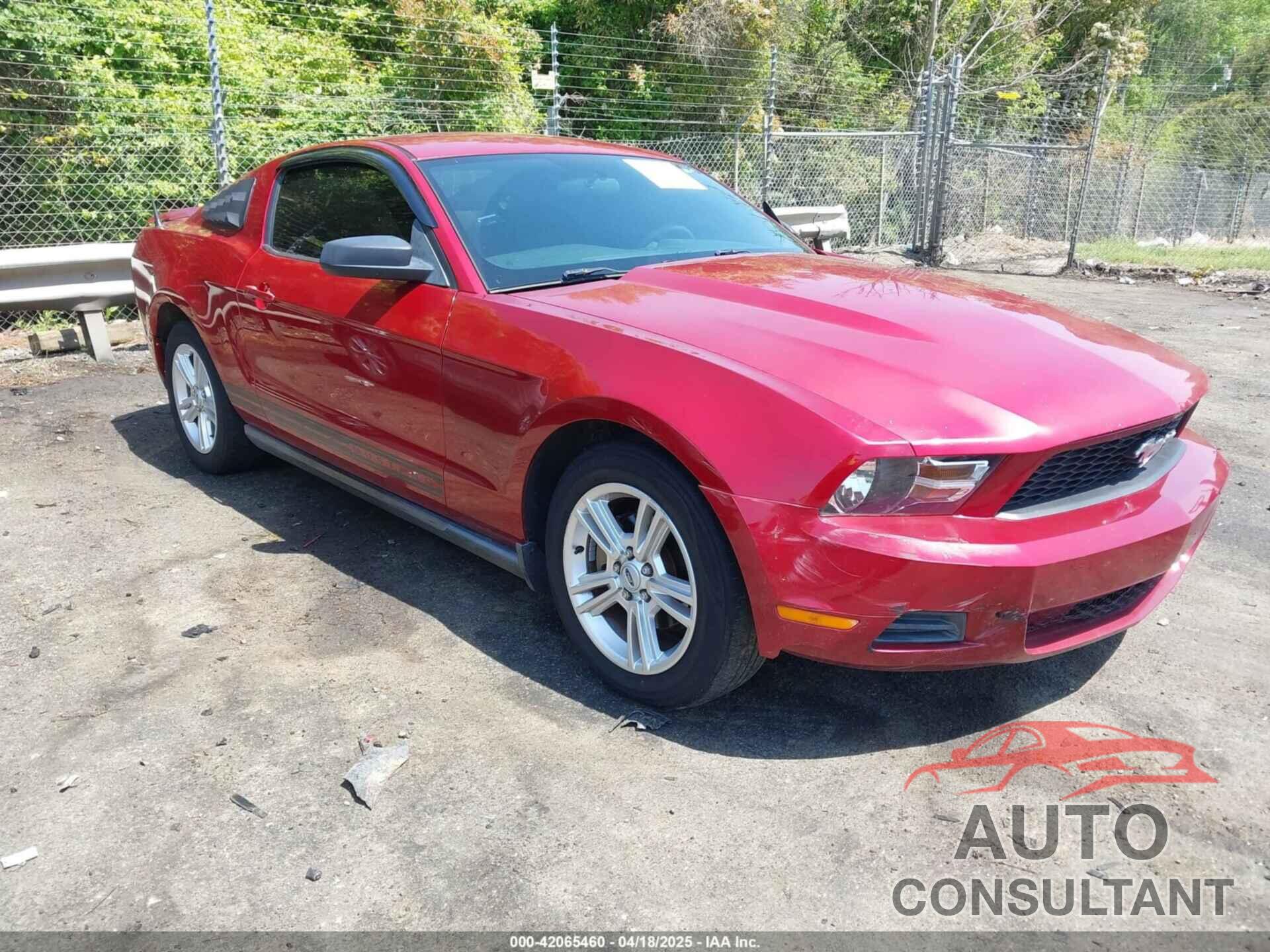 FORD MUSTANG 2010 - 1ZVBP8AN7A5135555
