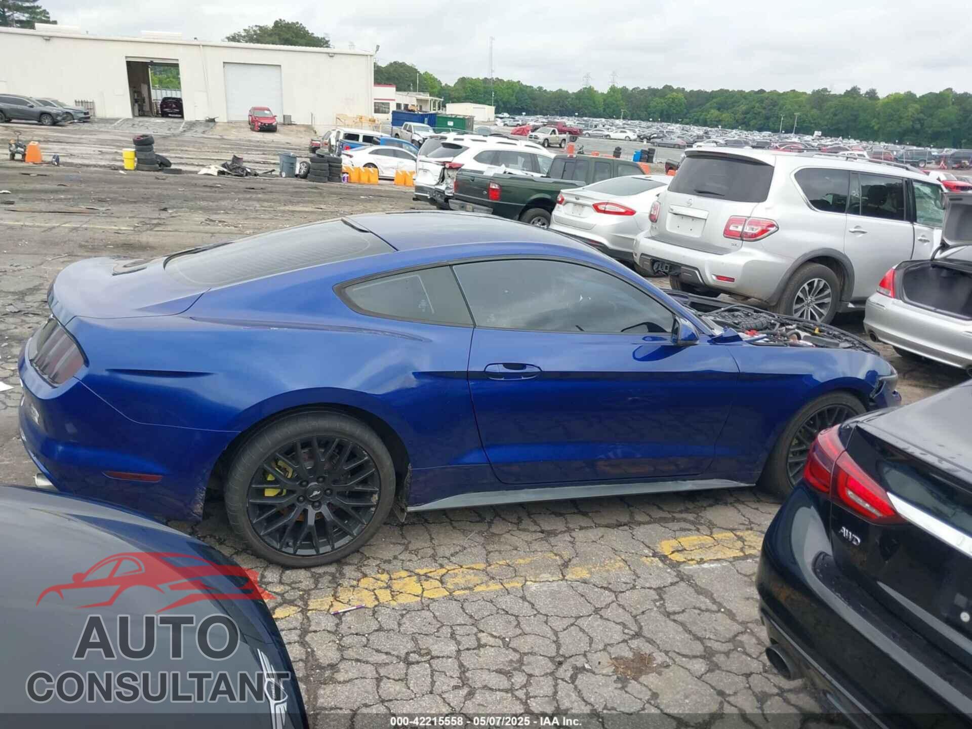FORD MUSTANG 2015 - 1FA6P8AM2F5321402