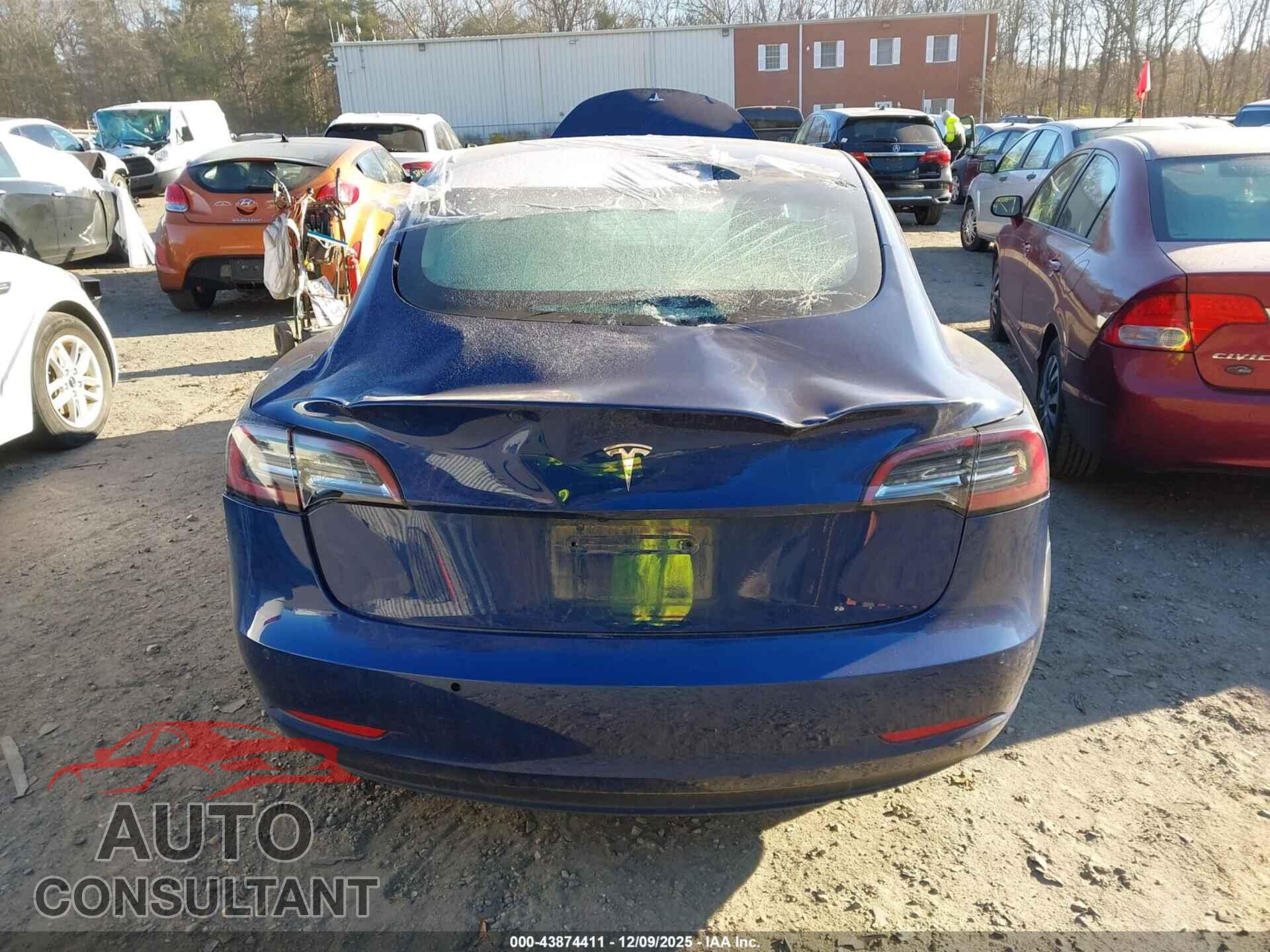 TESLA MODEL 3 2021 - 5YJ3E1EA3MF854641
