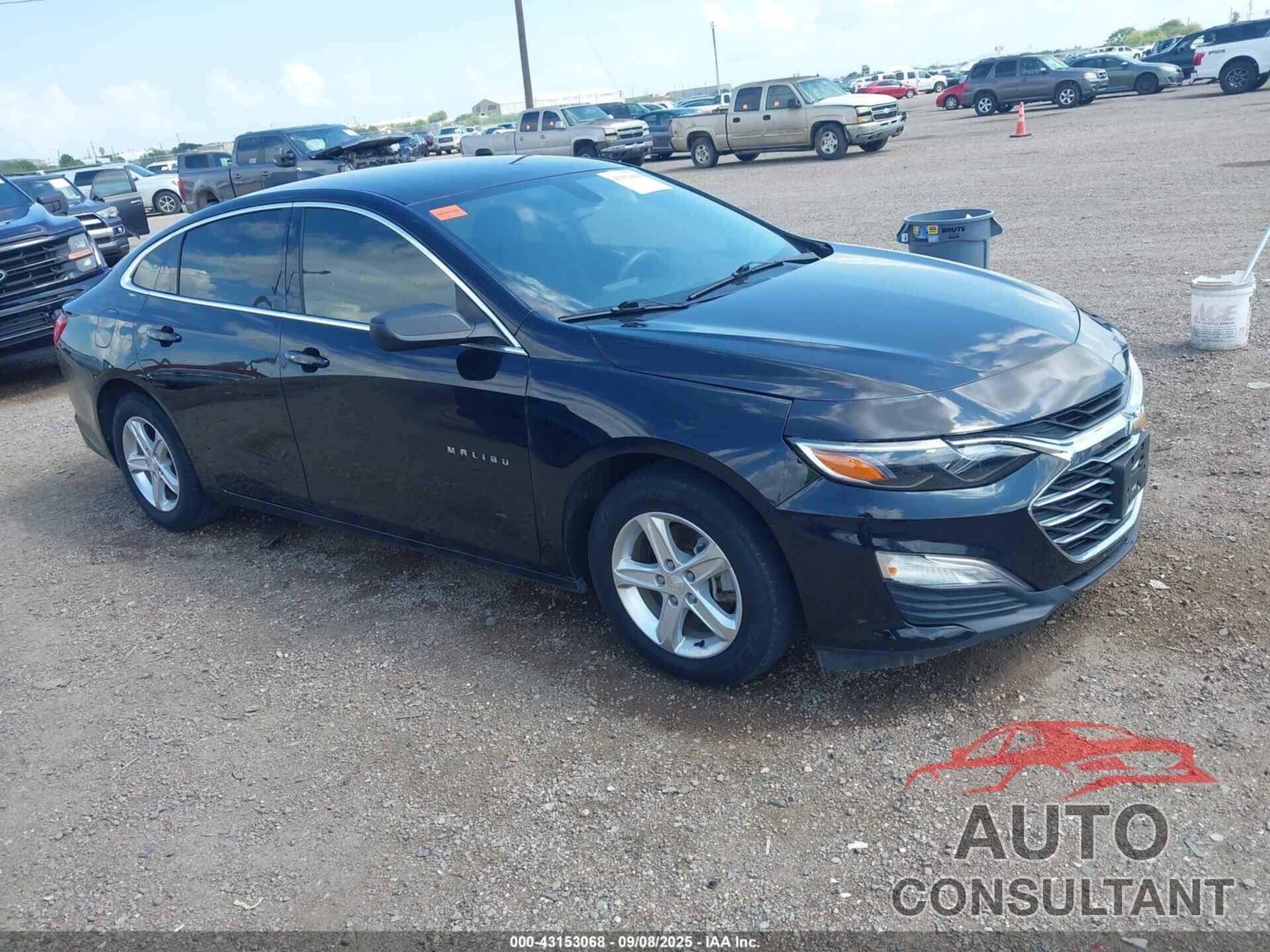 CHEVROLET MALIBU 2019 - 1G1ZB5STXKF205534