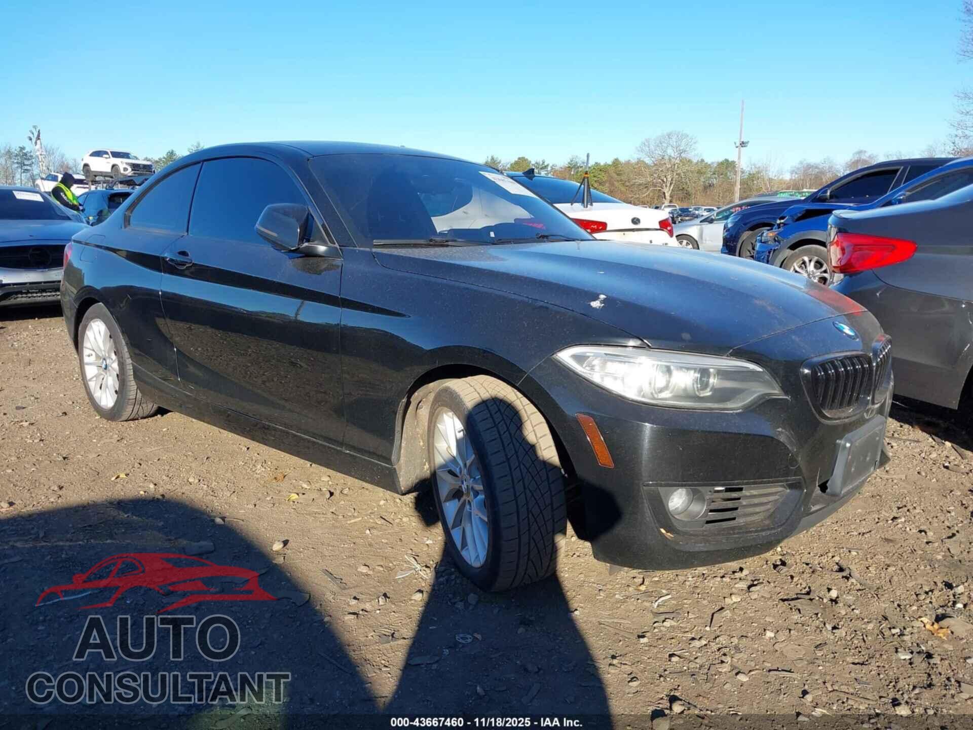 BMW 228I 2015 - WBA1F7C55FVX95445