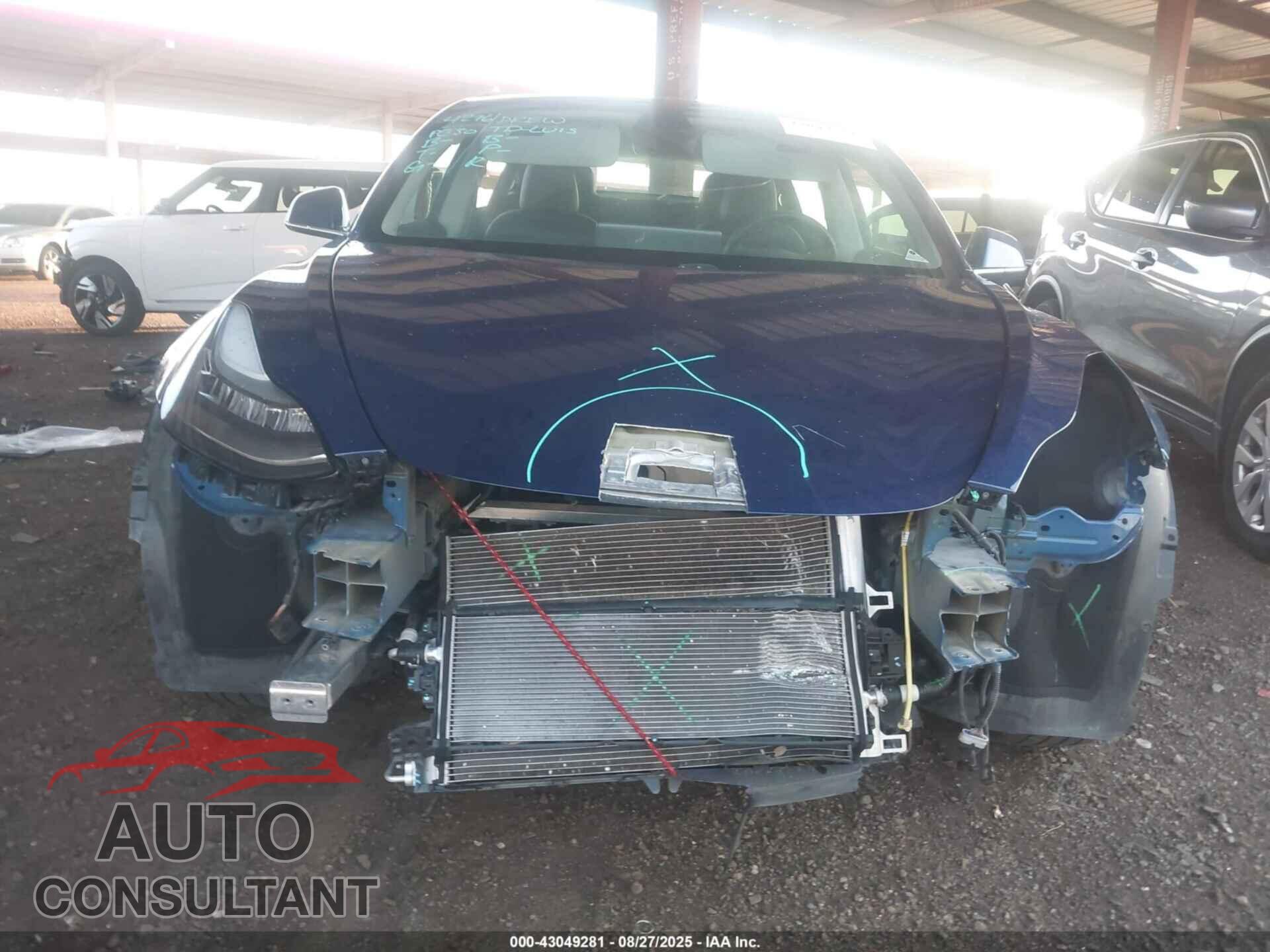 TESLA MODEL 3 2019 - 5YJ3E1EA1KF428475