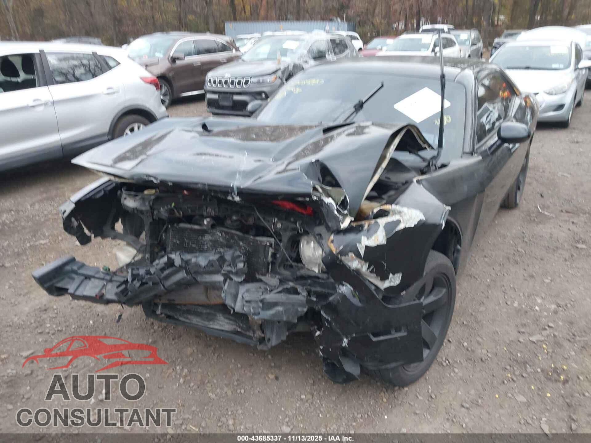 DODGE CHALLENGER 2013 - 2C3CDYAG8DH562570