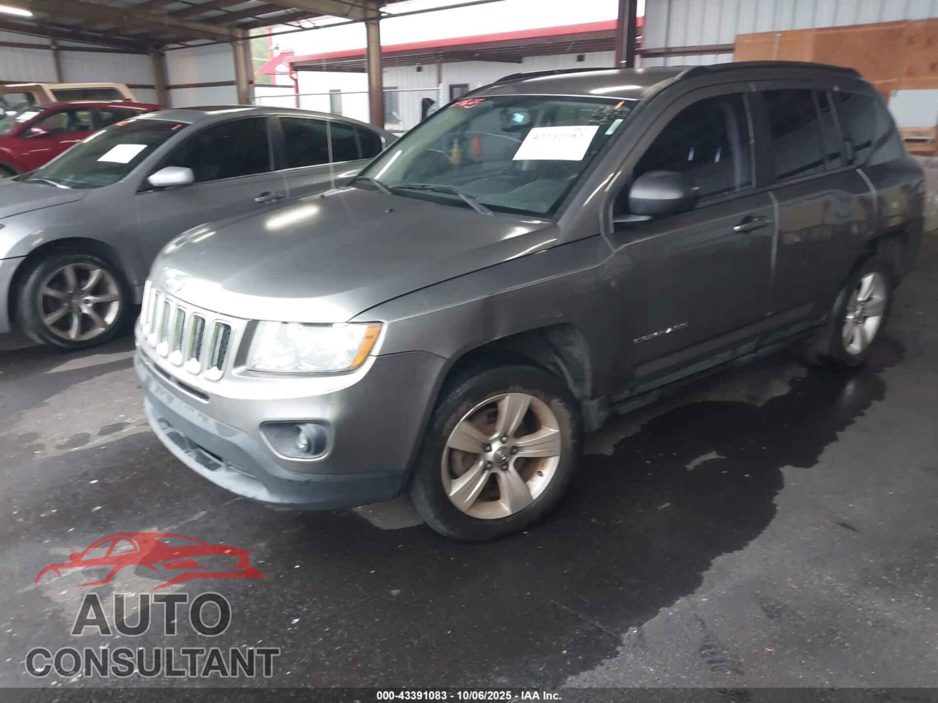 JEEP COMPASS 2011 - 1J4NT1FA8BD290206