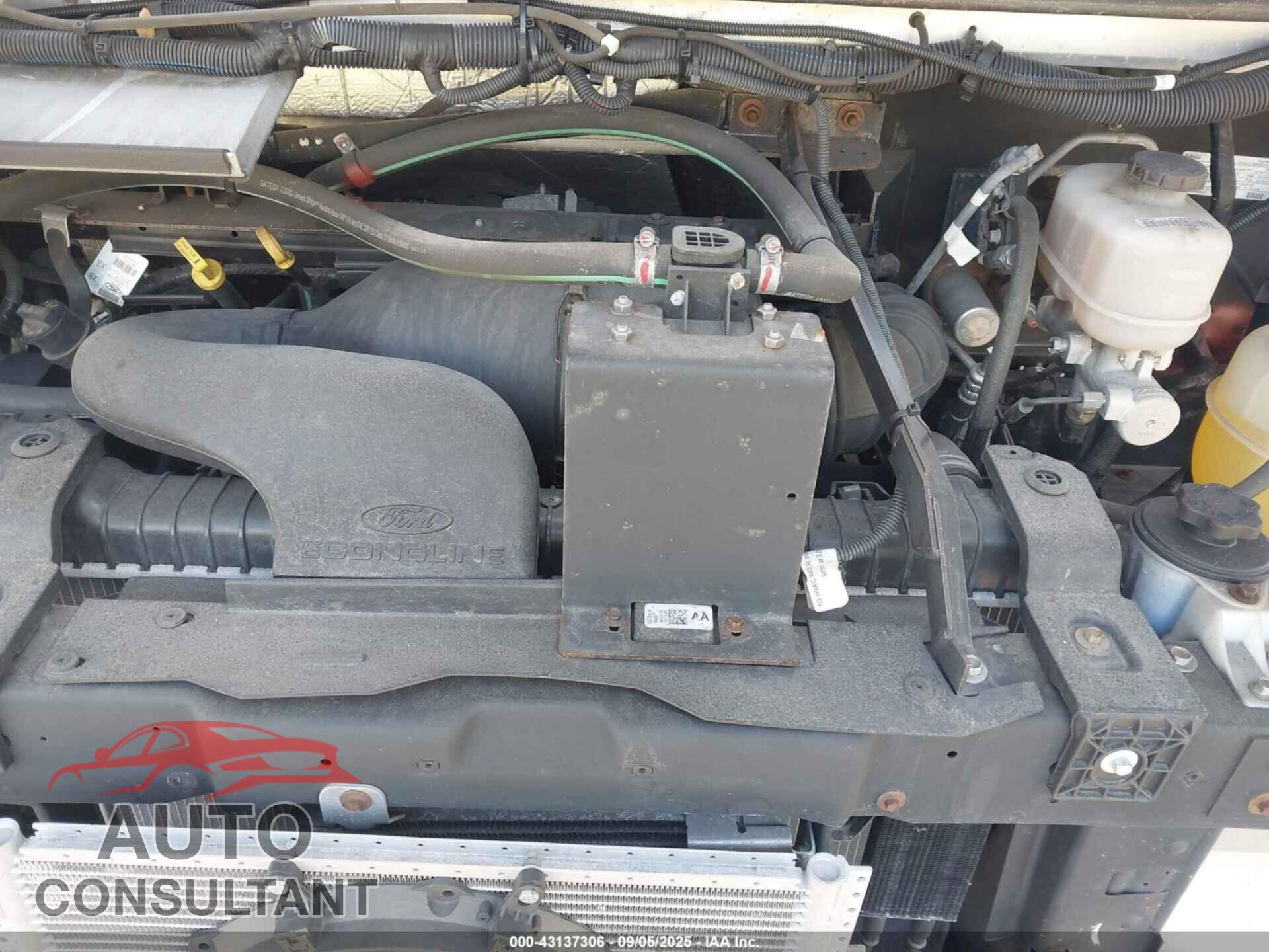 FORD E-450 STRIPPED 2019 - 1FC3E4K67KDC48085