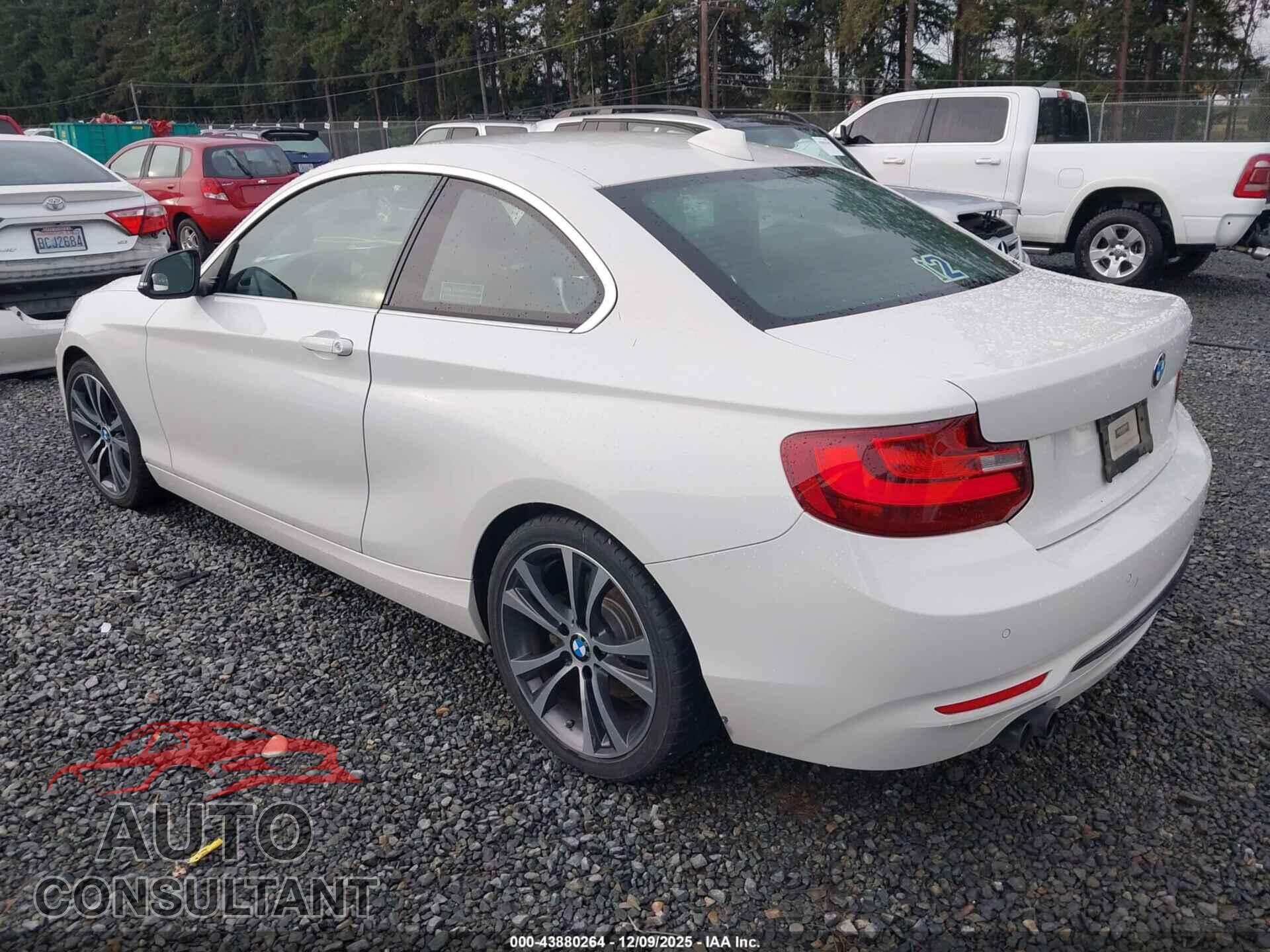 BMW 228I 2015 - WBA1F9C52FVW98585