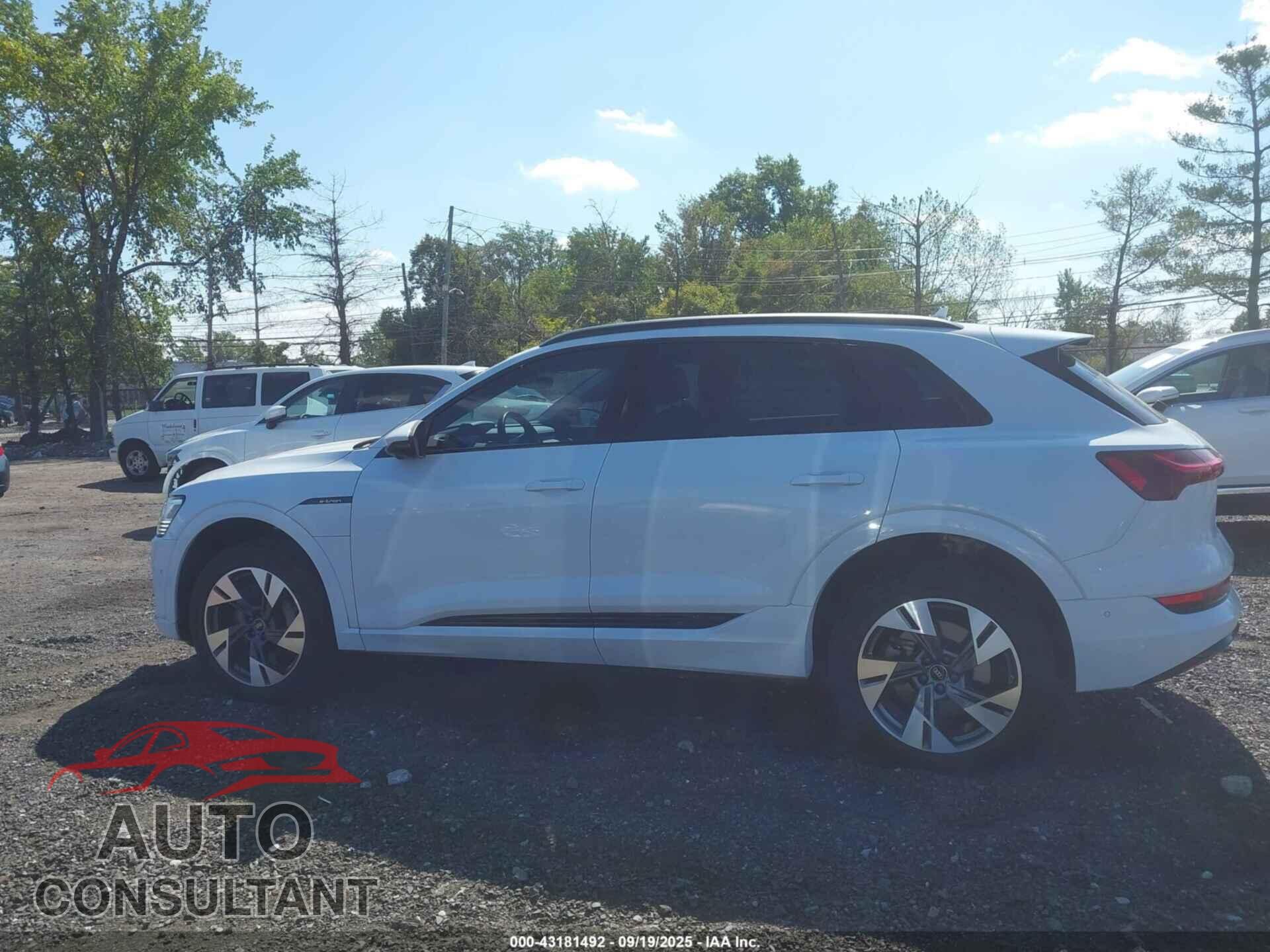 AUDI E-TRON 2022 - WA1AAAGE0NB042425